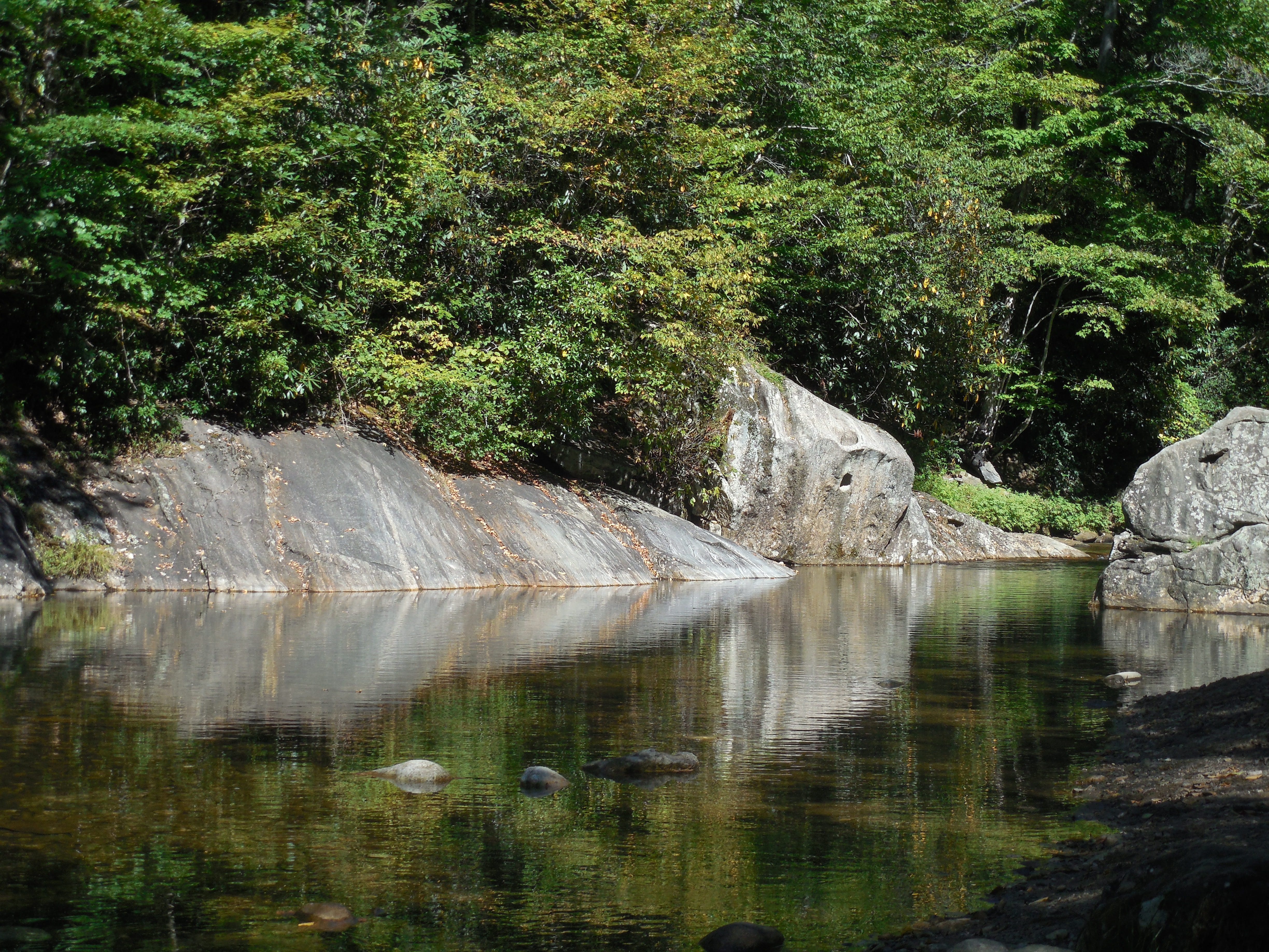 waterfront, plant, lake, mirror image, pool, peaceful, precipice, landscape, wood, outdoors, land, wet, rock, tranquil scene, liquid, green color, 4K, HD Wallpaper