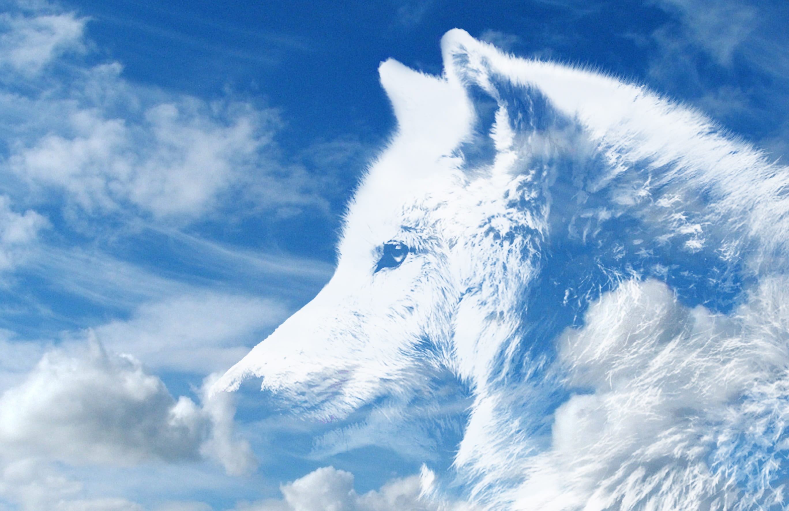 sky, day, blue, mythology, clouds, cloud - sky, white, mysterious, no people, outdoors, animal, one animal, animal themes, low angle view, nature, beauty in nature, HD Wallpaper