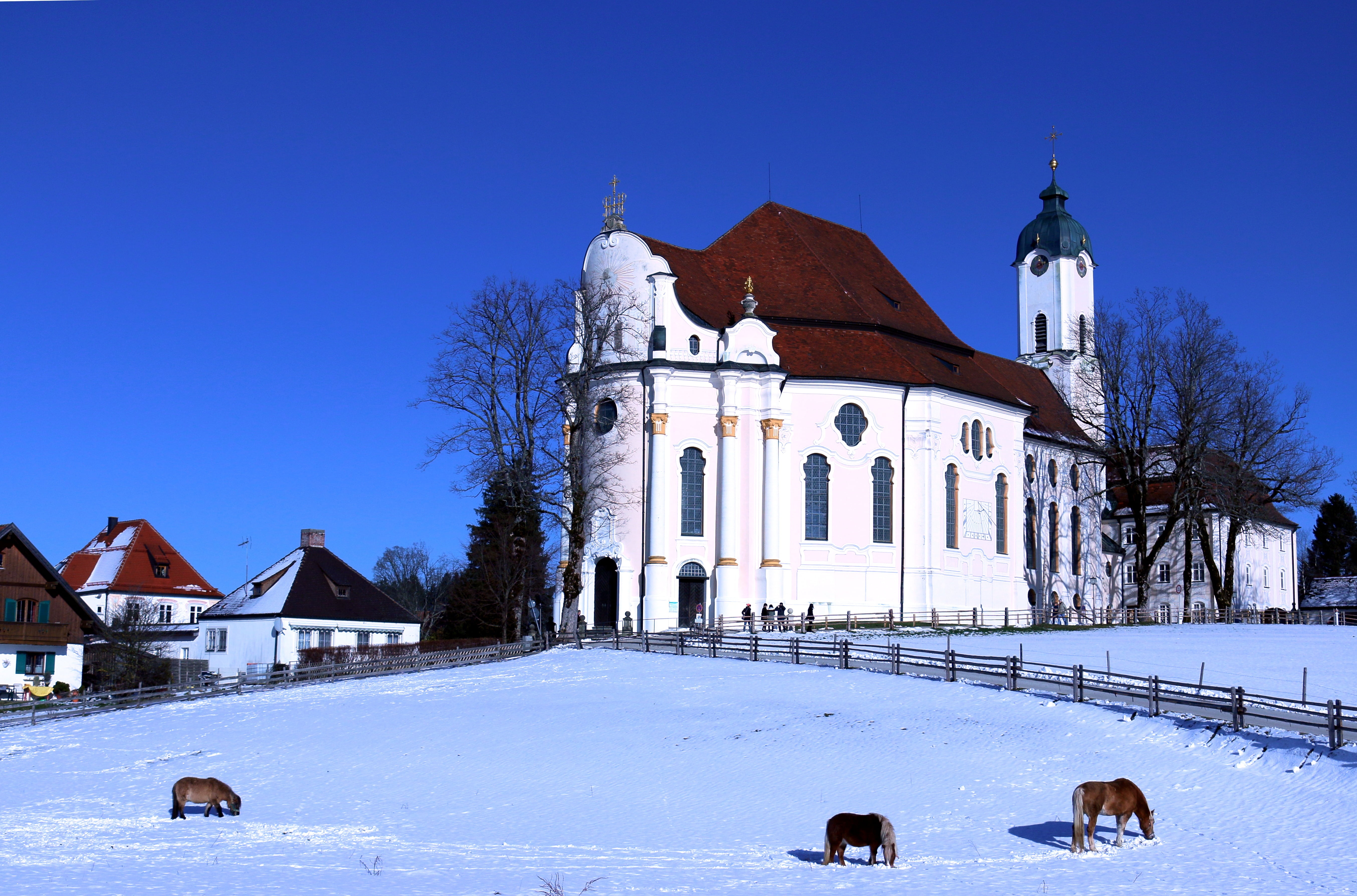 white color, sky, famous, wieskirche, place of worship, catholic, site, snowing, worship, spirituality, pilgrimage, culture, tree, style, rococo, domestic, HD Wallpaper