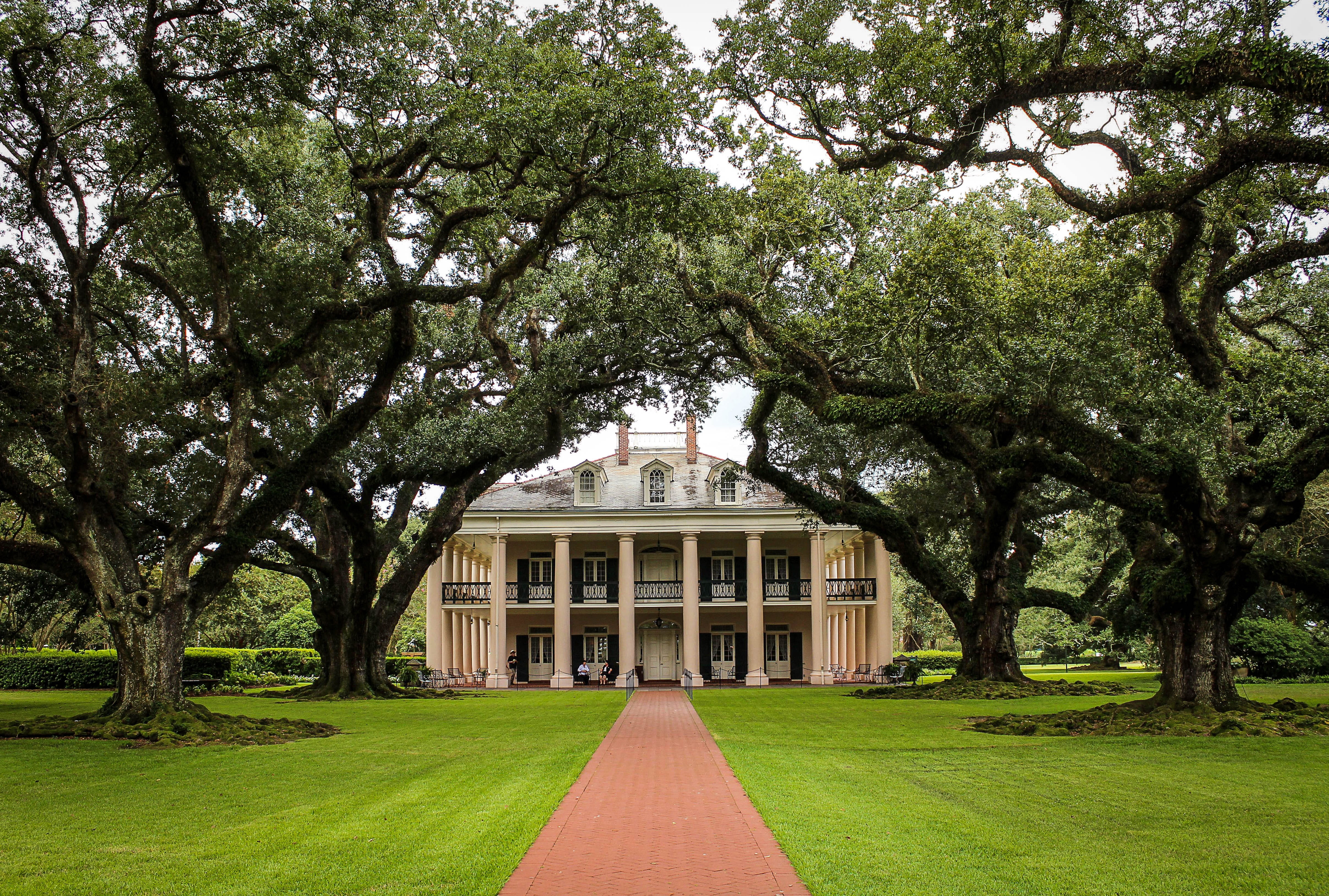 louisiana, plant, no people, building exterior, government, outdoors, nature, architectural column, southern plantation, greek revival, bricked, garden, HD Wallpaper
