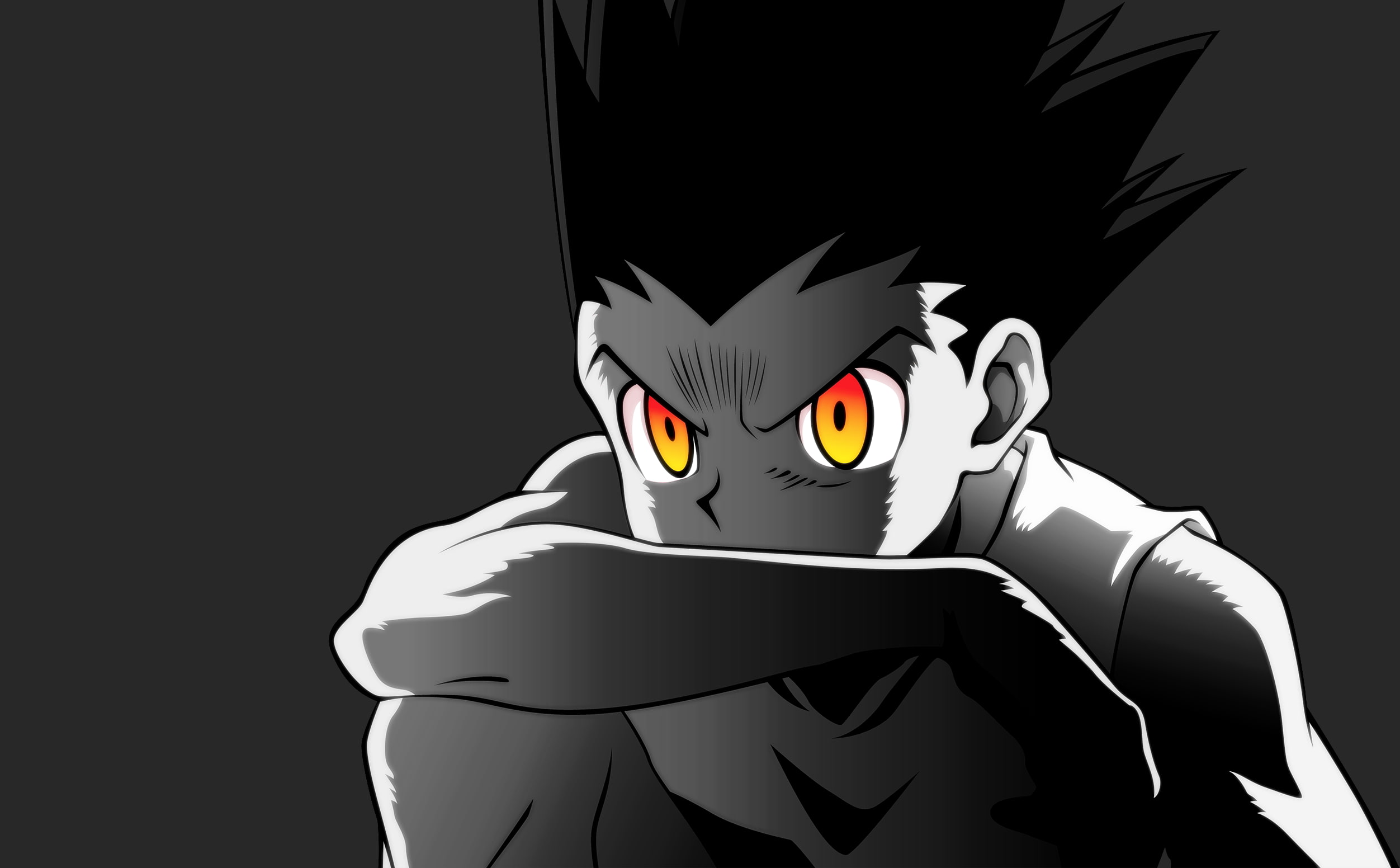 Gon css, Hunter x Hunter, 1080P, HD Wallpaper