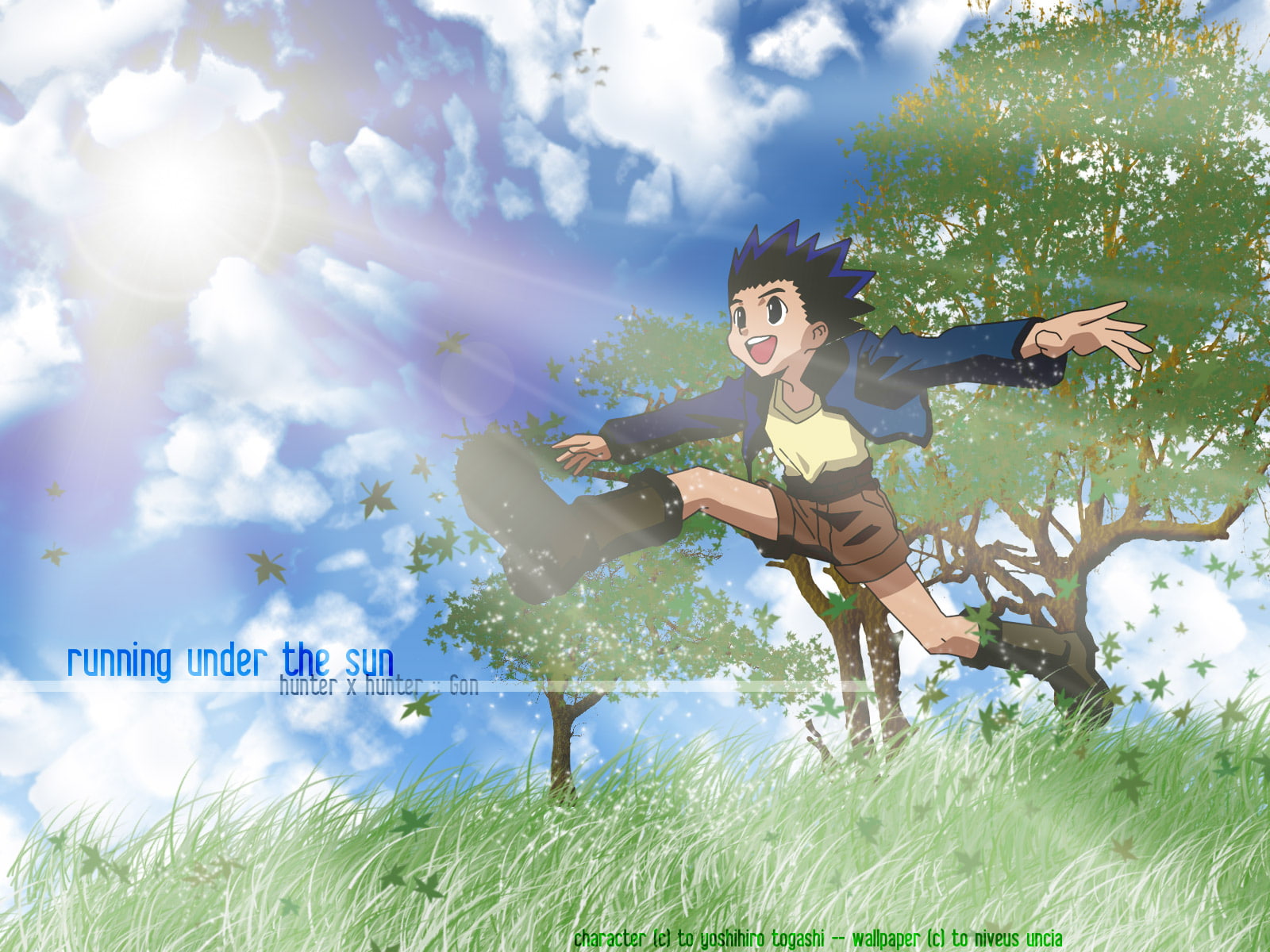 Hunter x Hunter, Gon css, Anime, 720P, HD Wallpaper