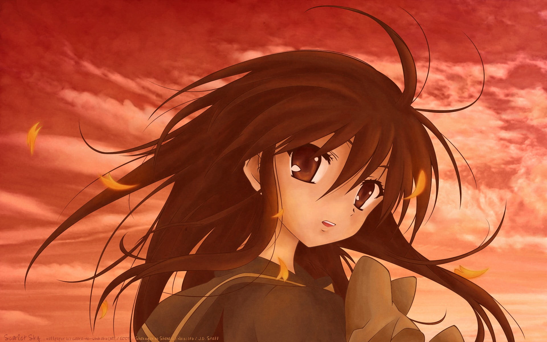 girl, hairstyle, anime girls, adult, fashion, character, outdoors, Shana, one person, Shakugan no Shana, representation, feather, mystery, beauty, HD Wallpaper