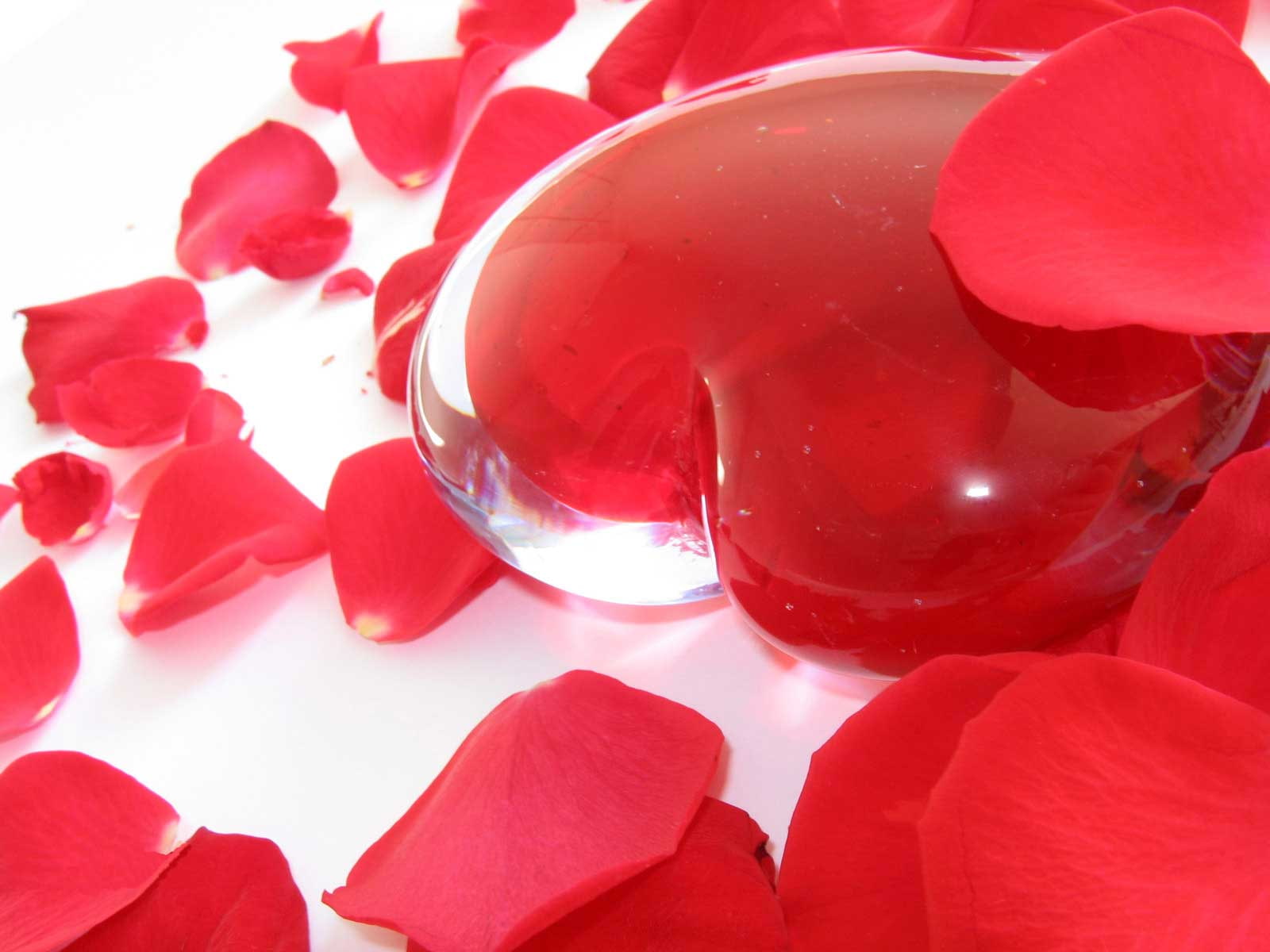 720P, romance, love, feelings, decor, flowers, heart, glass, HD Wallpaper