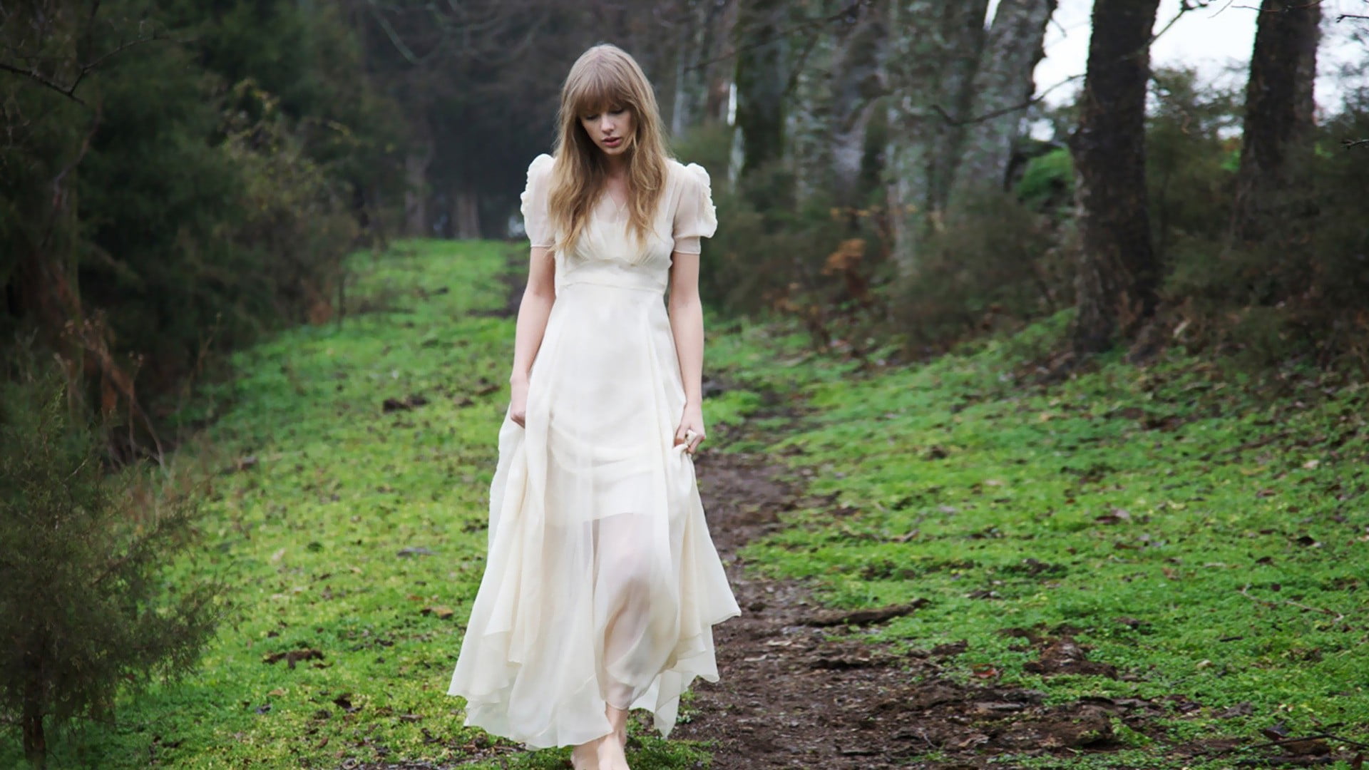 celebrity, standing, hairstyle, clothing, fashion, woodland, full length, beauty, outdoors, adult, Taylor Swift, dress, women, beautiful woman, forest, HD Wallpaper