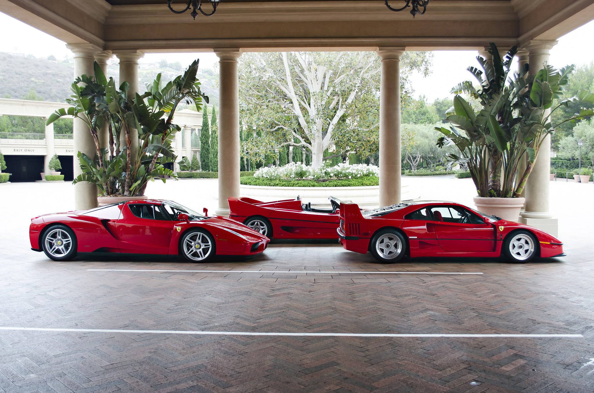 supercars, 1080P, supercar, f50, enzo, ferrari, f40, HD Wallpaper