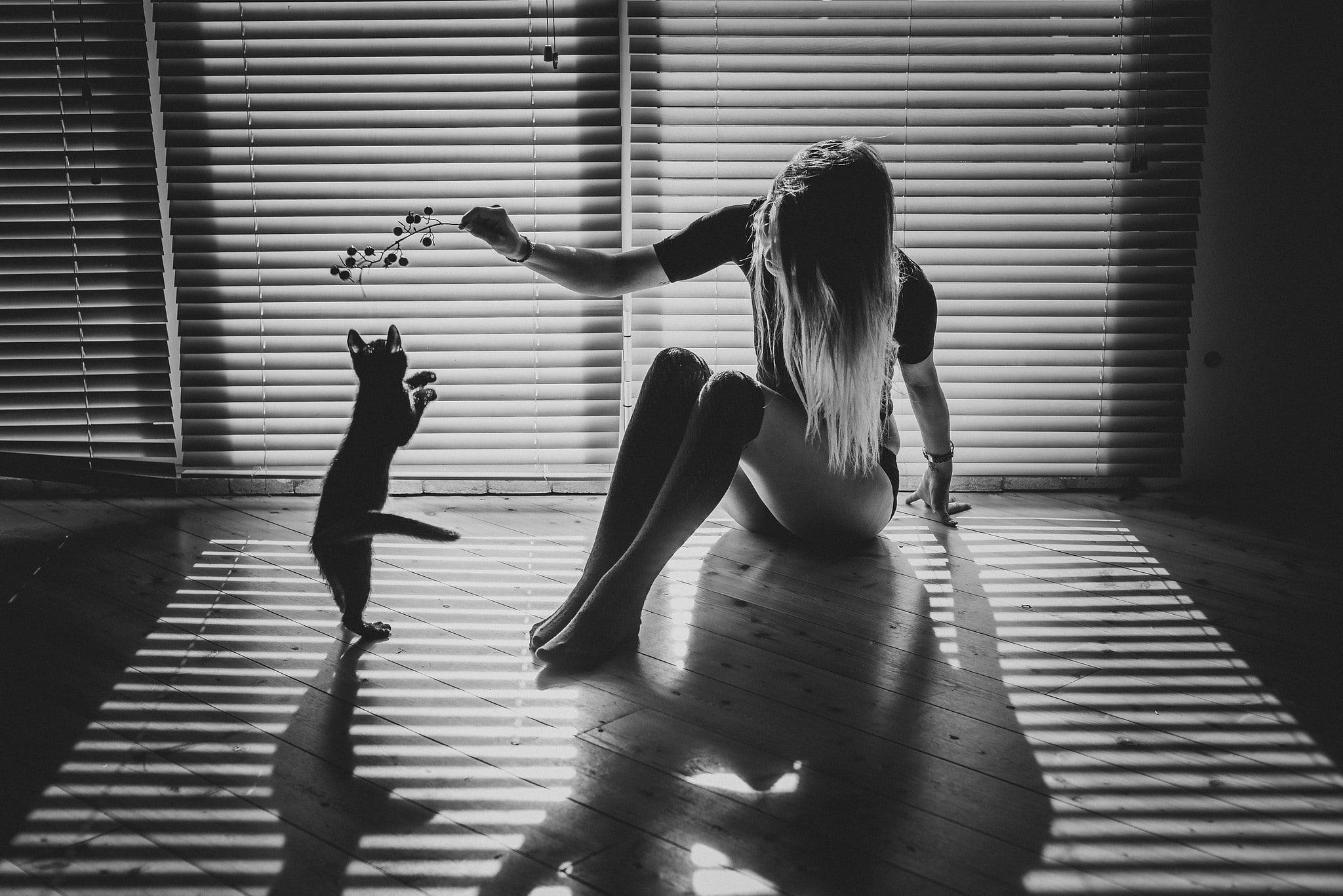 women, model, cat, 1080P, animals, window, shadow, monochrome, on the floor, sitting, long hair, HD Wallpaper