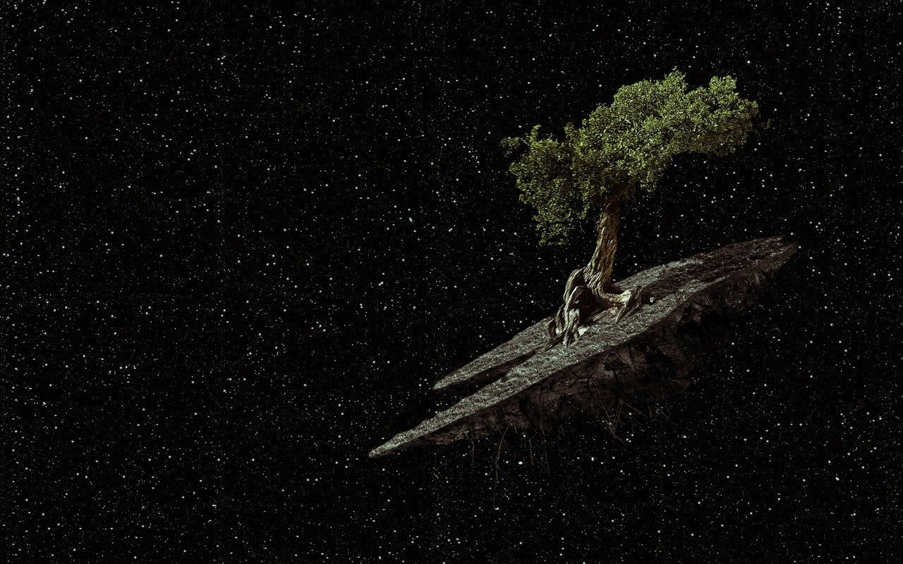 digital art, black background, dark, 720P, animal wildlife, cross, copy space, night, animal themes, tree, close-up, stars, green color, one animal, animal, HD Wallpaper