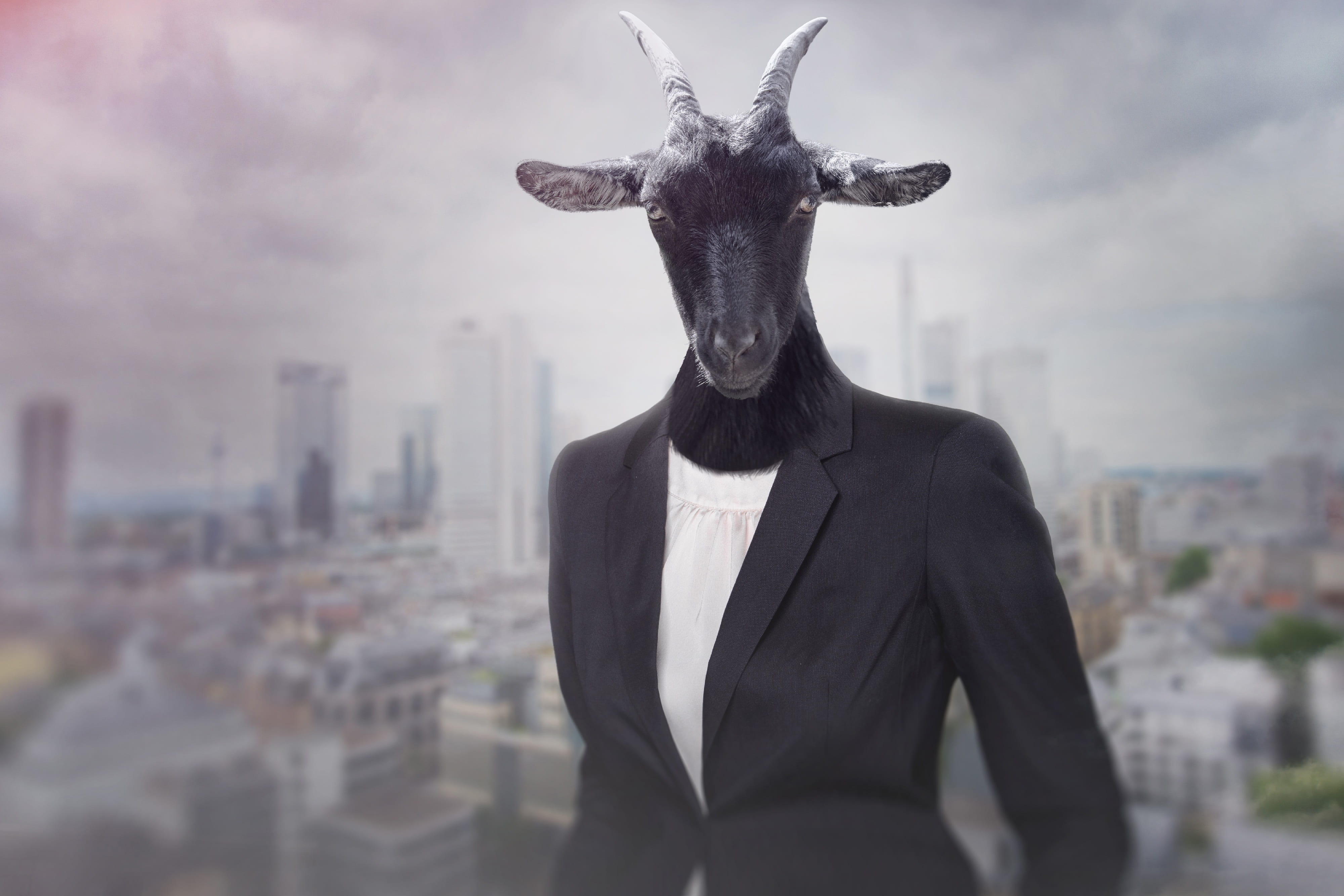focus, stupid, animal themes, goat, stubborn, team, mammal, stylish, businessman, animal head, success, one person, office, menswear, young, 4K, manage, HD Wallpaper