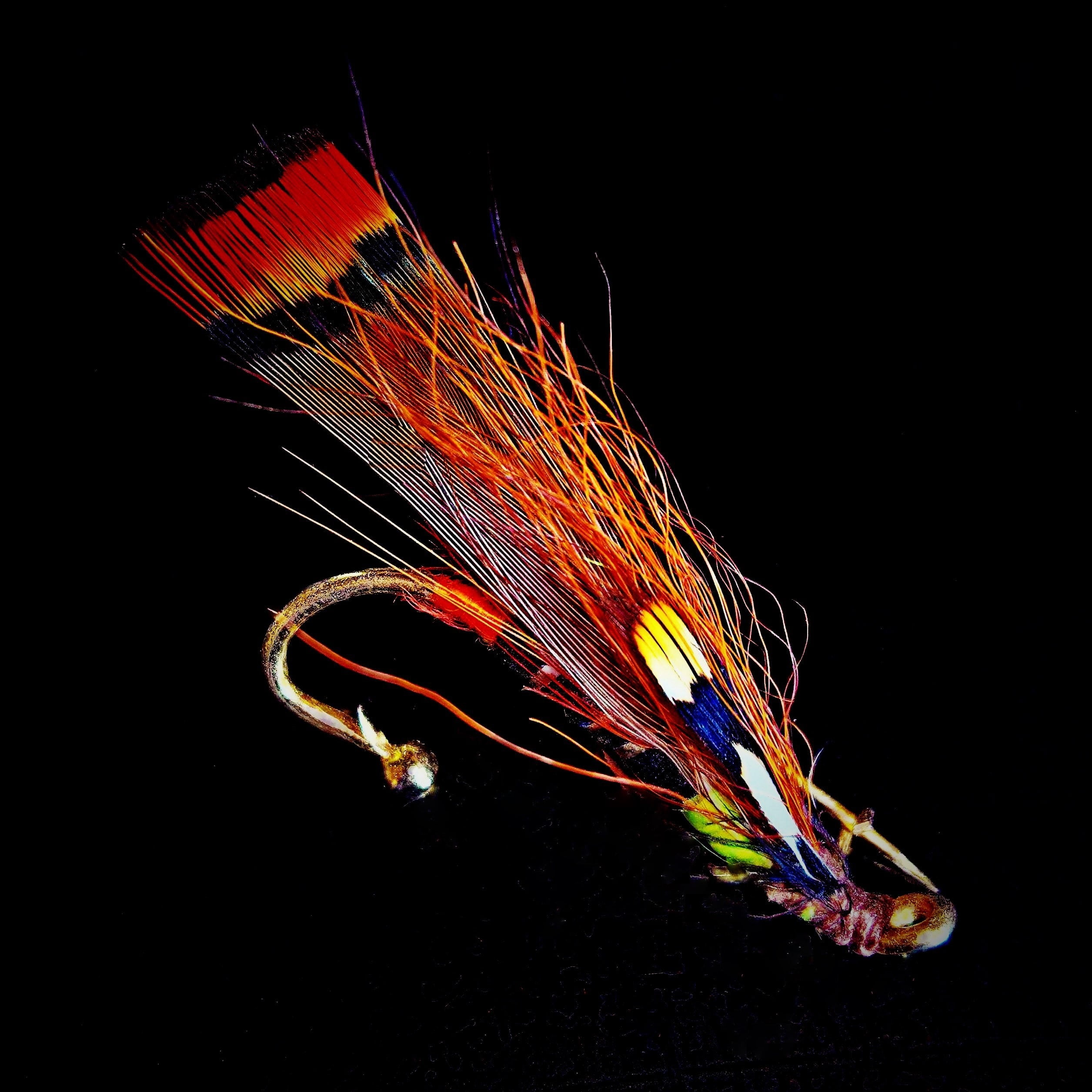 container art, animals in the wild, animal themes, fish, insect imitation, from feather, fly fishing, animal wildlife, no people, multicolored, close-up, Phone HD Wallpaper