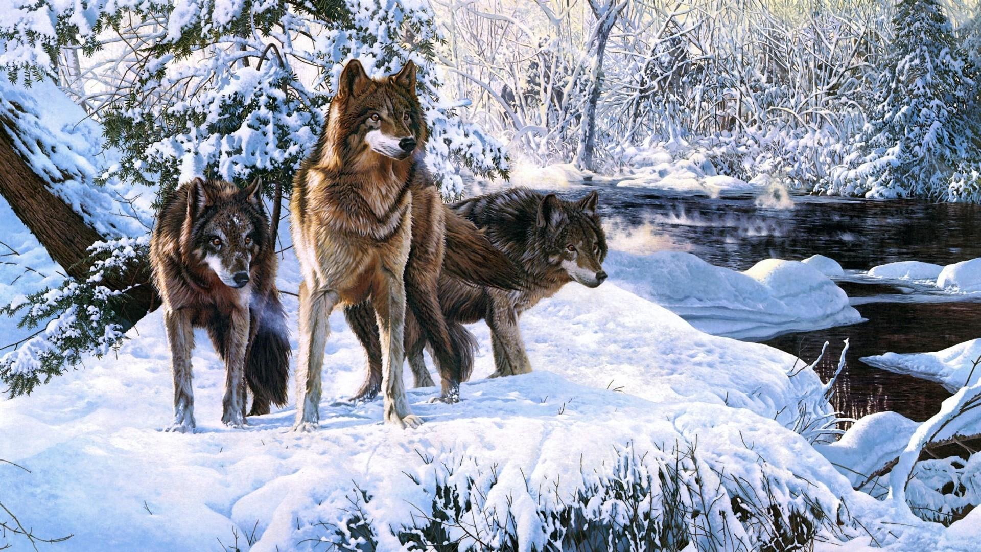 wolves, art, snow, wolf, painting, winter, 1080P, forest, HD Wallpaper