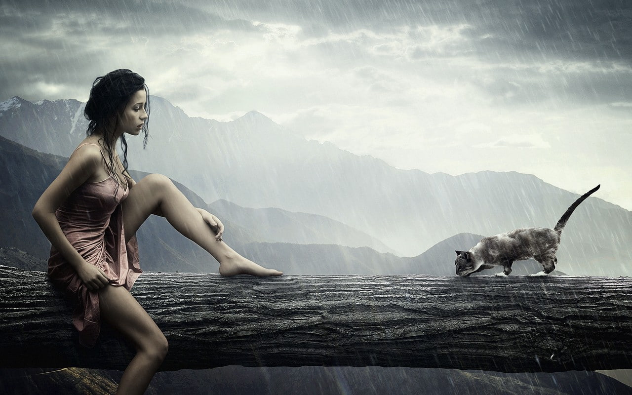 trunk, hd, 720P, haired, creative, tree, beautiful, black, creative and graphics, amp, woman, graphics, girl, cat, HD Wallpaper
