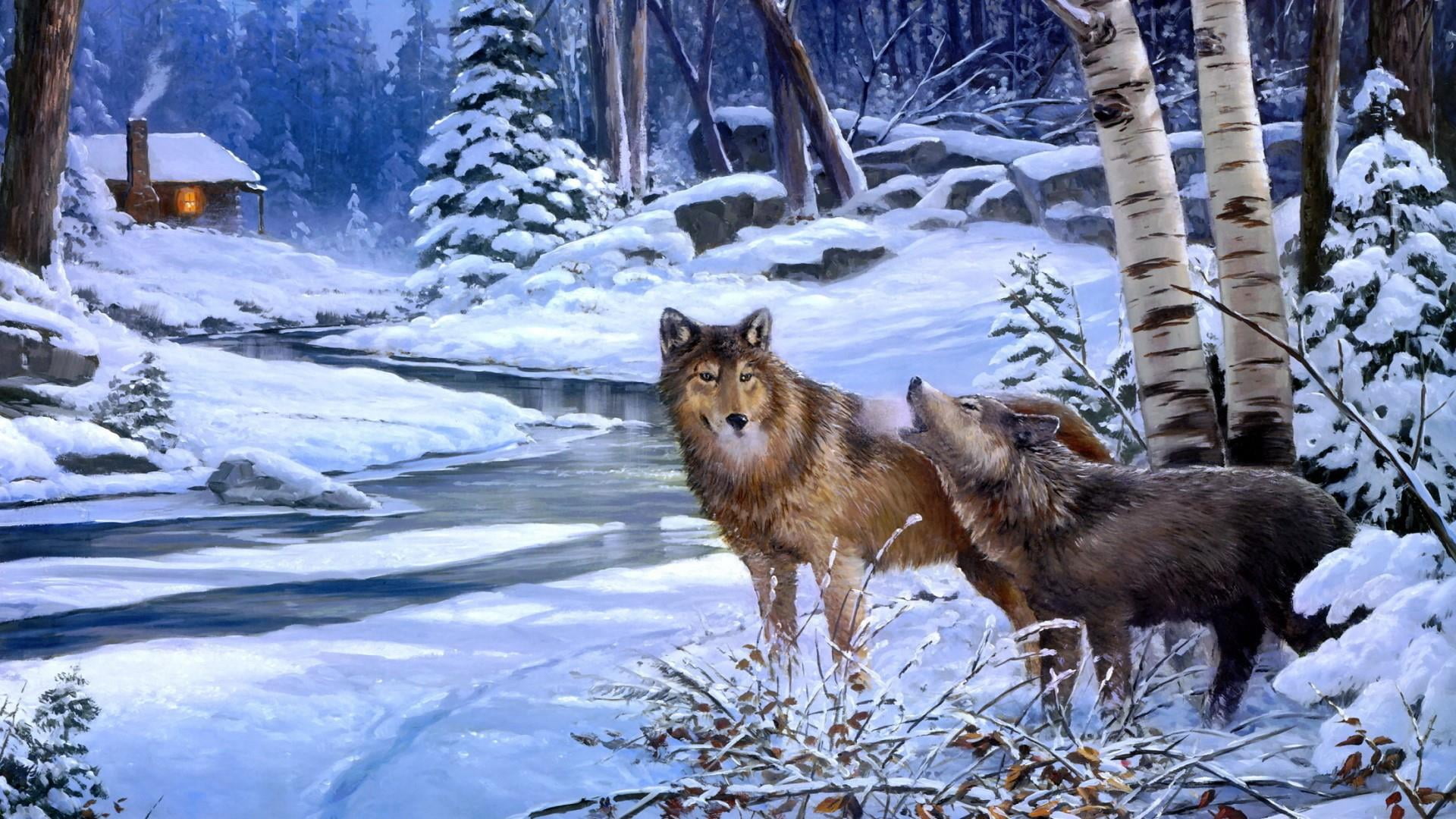freezing, wolf, animals in the wild, house, snowy, land, snow, winter, mammal, wolves, day, frost, snowcapped mountain, plant, river, wildlife, snowing, HD Wallpaper