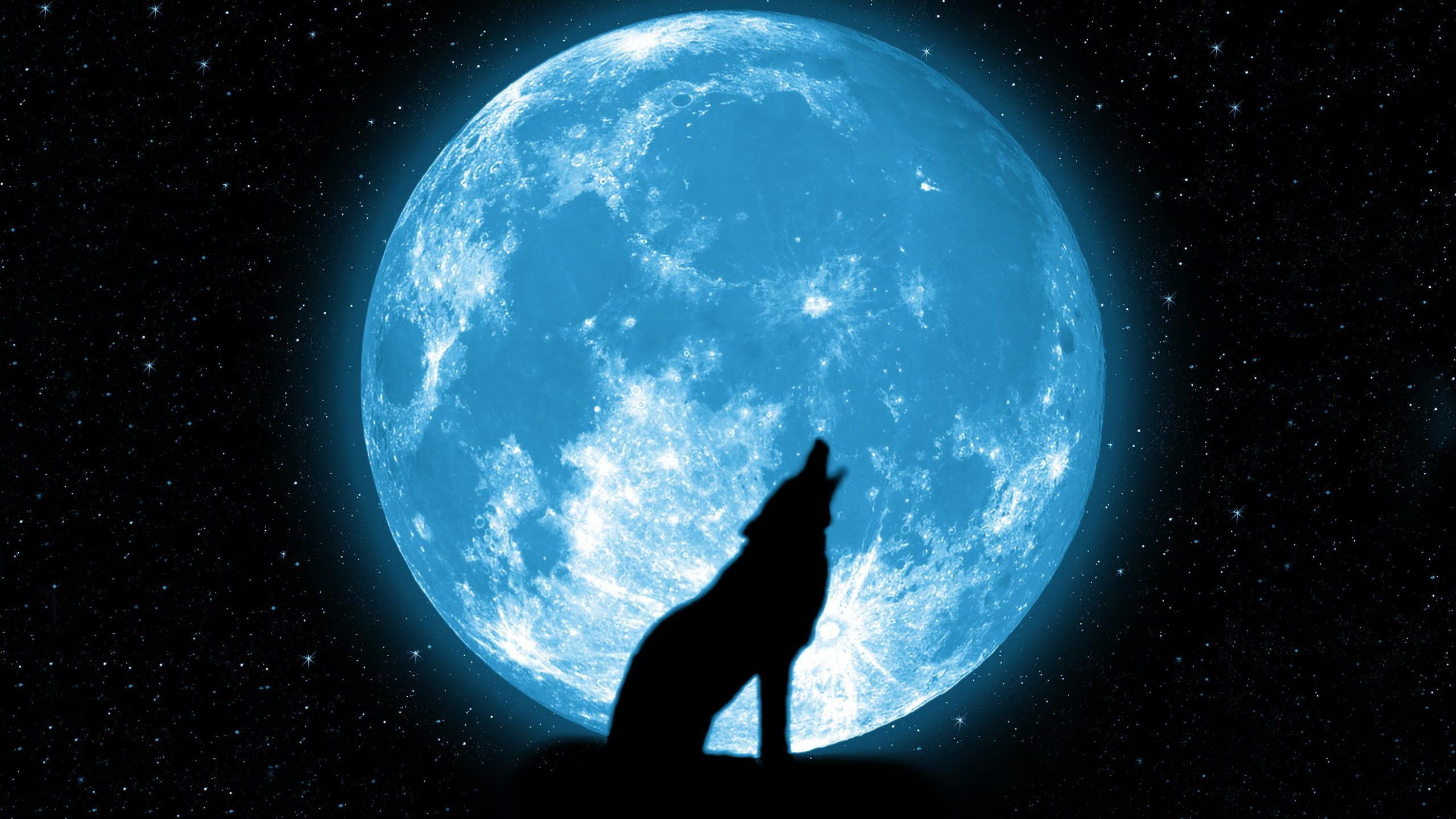 silhouette, space, beautiful, wolf, sky, stars, 2K, howling, HD Wallpaper