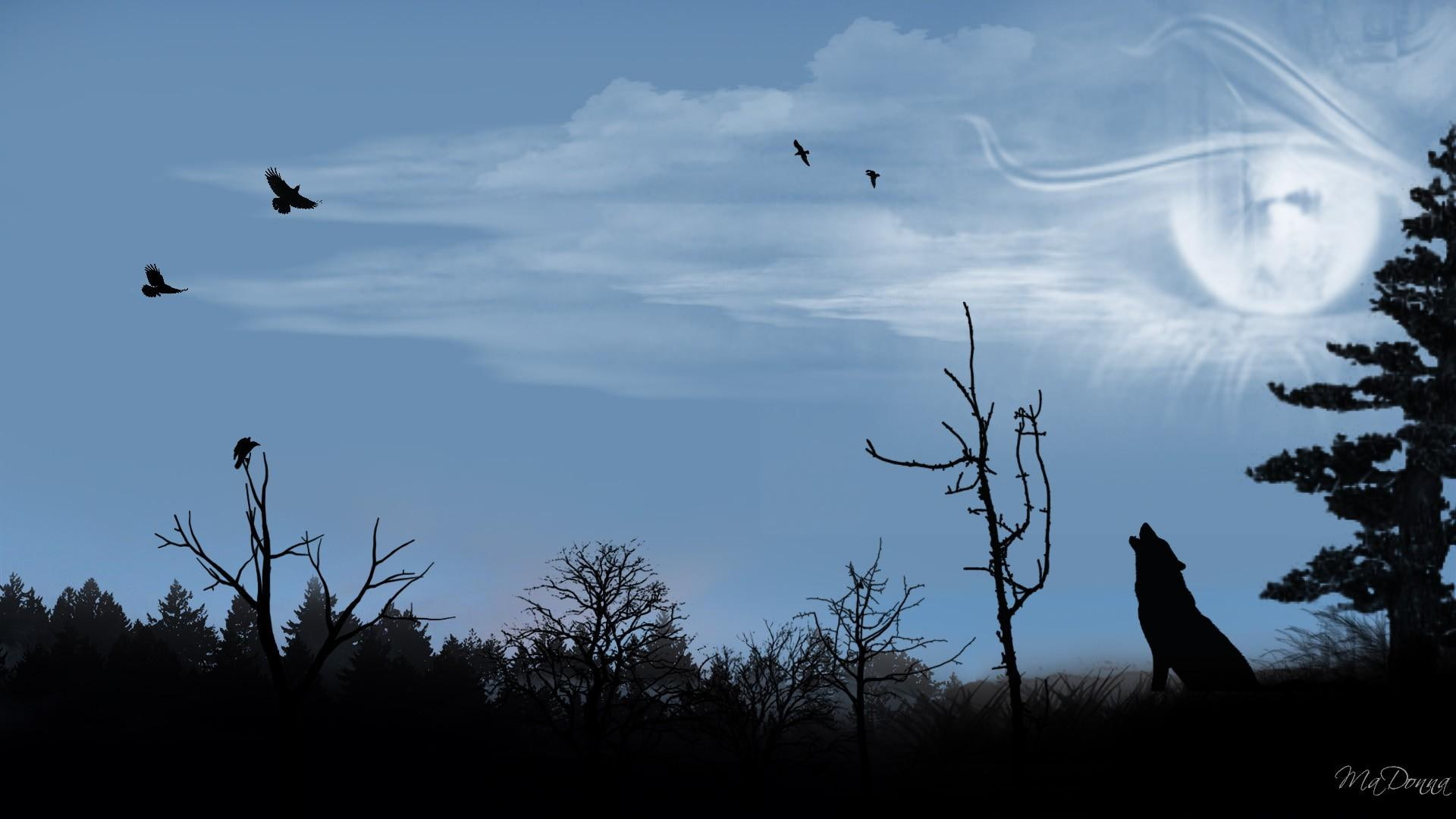 widescreen, moon, trees, birds, clouds, music, 1080P, haunting, firefox persona, 3d and abstract, wolf howling, moonlights, HD Wallpaper