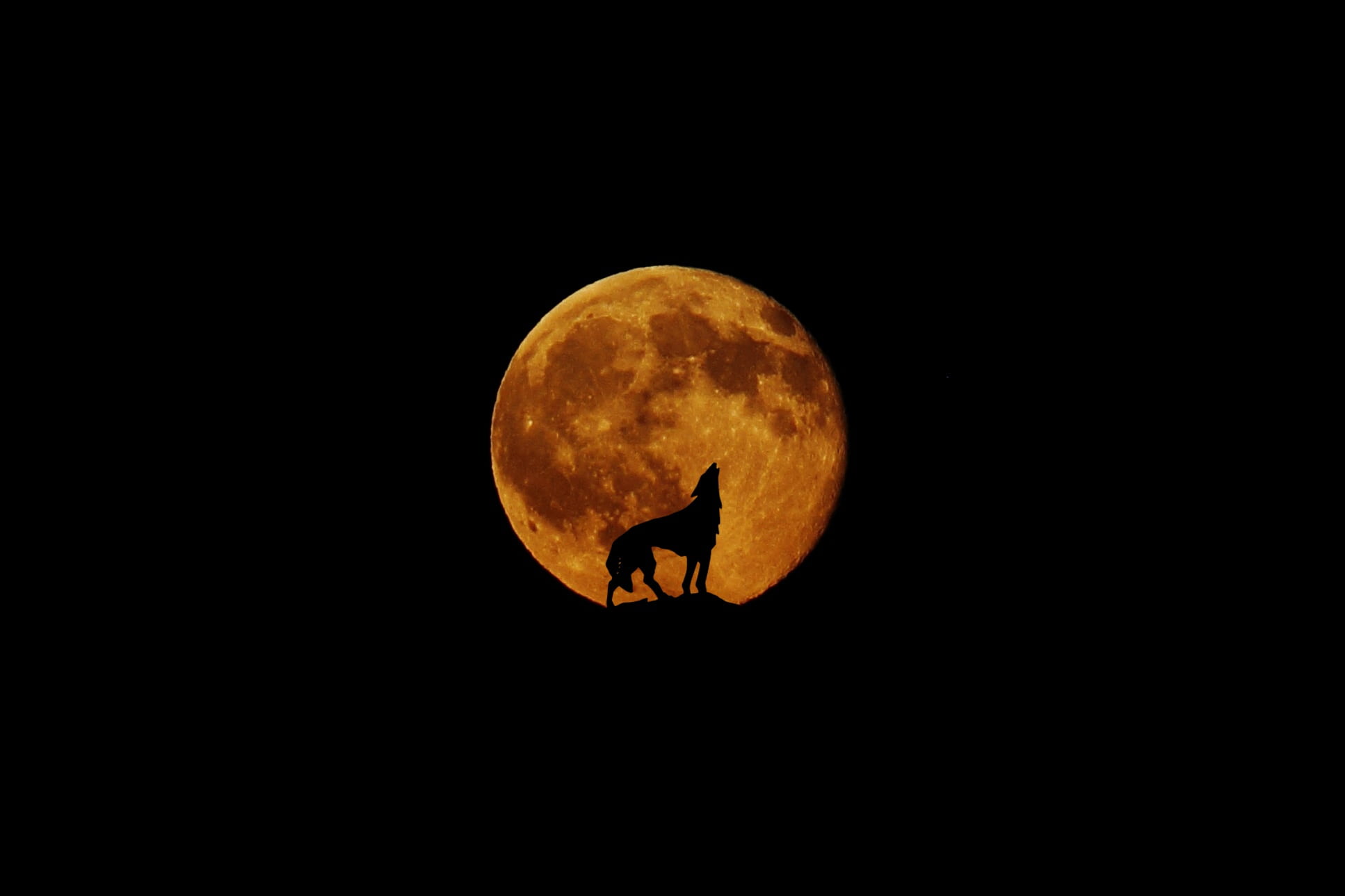 copy space, night, scenics - nature, tranquil scene, science, moon surface, sky, no people, dark, mystical, moonlight, idyllic, wolf, eclipse, orange color, HD Wallpaper