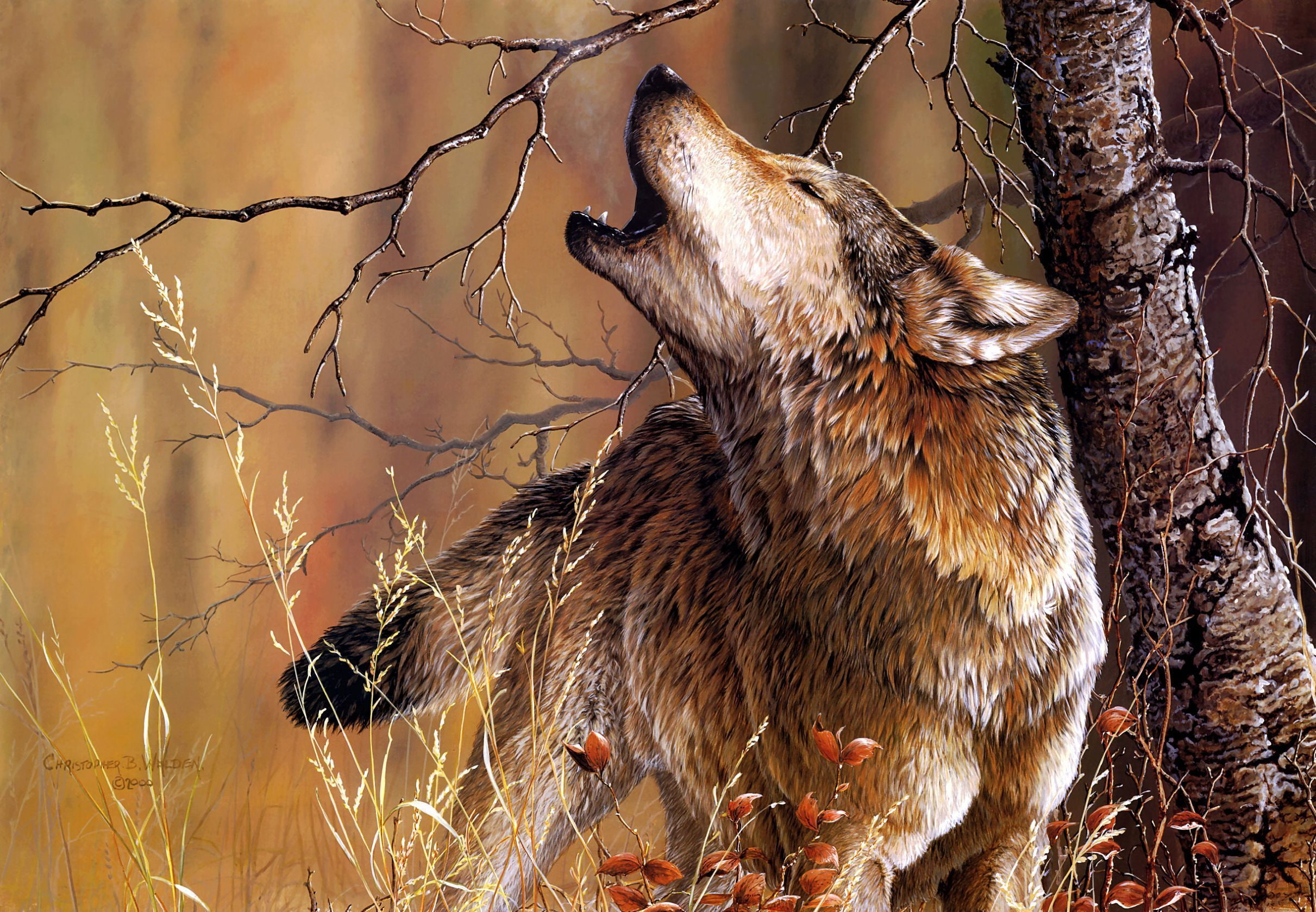 Howling, Animal, Wood, Artistic, Forest, Painting, Wolf, 1080P, HD Wallpaper