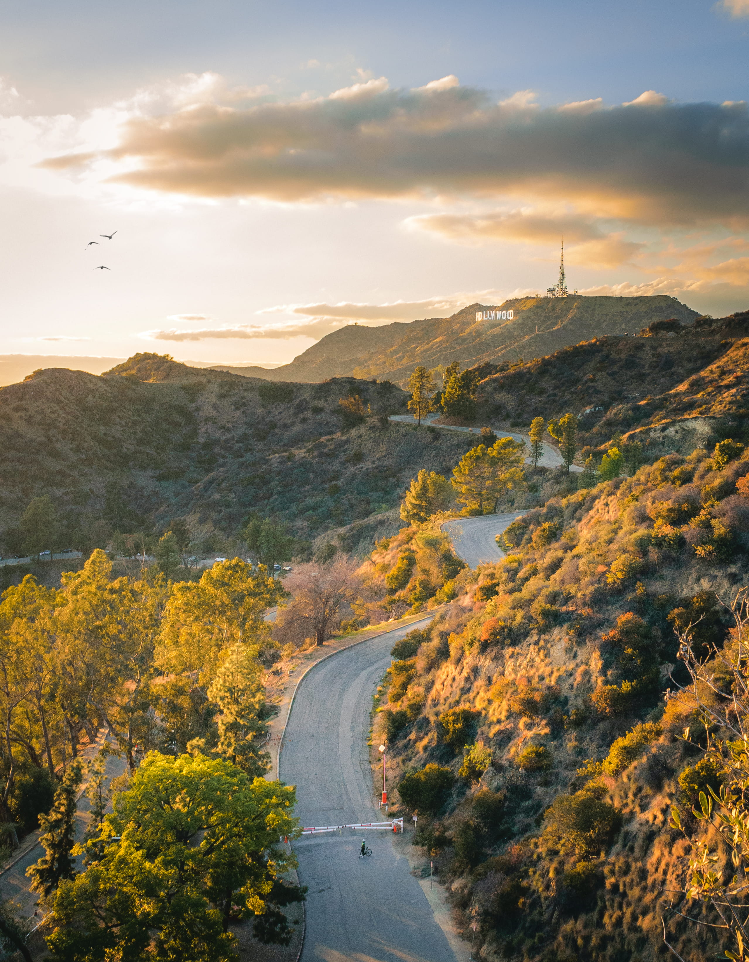 tranquility, transportation, slopes, hollywood sign, hollywood hills, serene, landscape, calm, gentle hills, sky, outdoors, nature, curves, mountain, plant, Phone HD Wallpaper