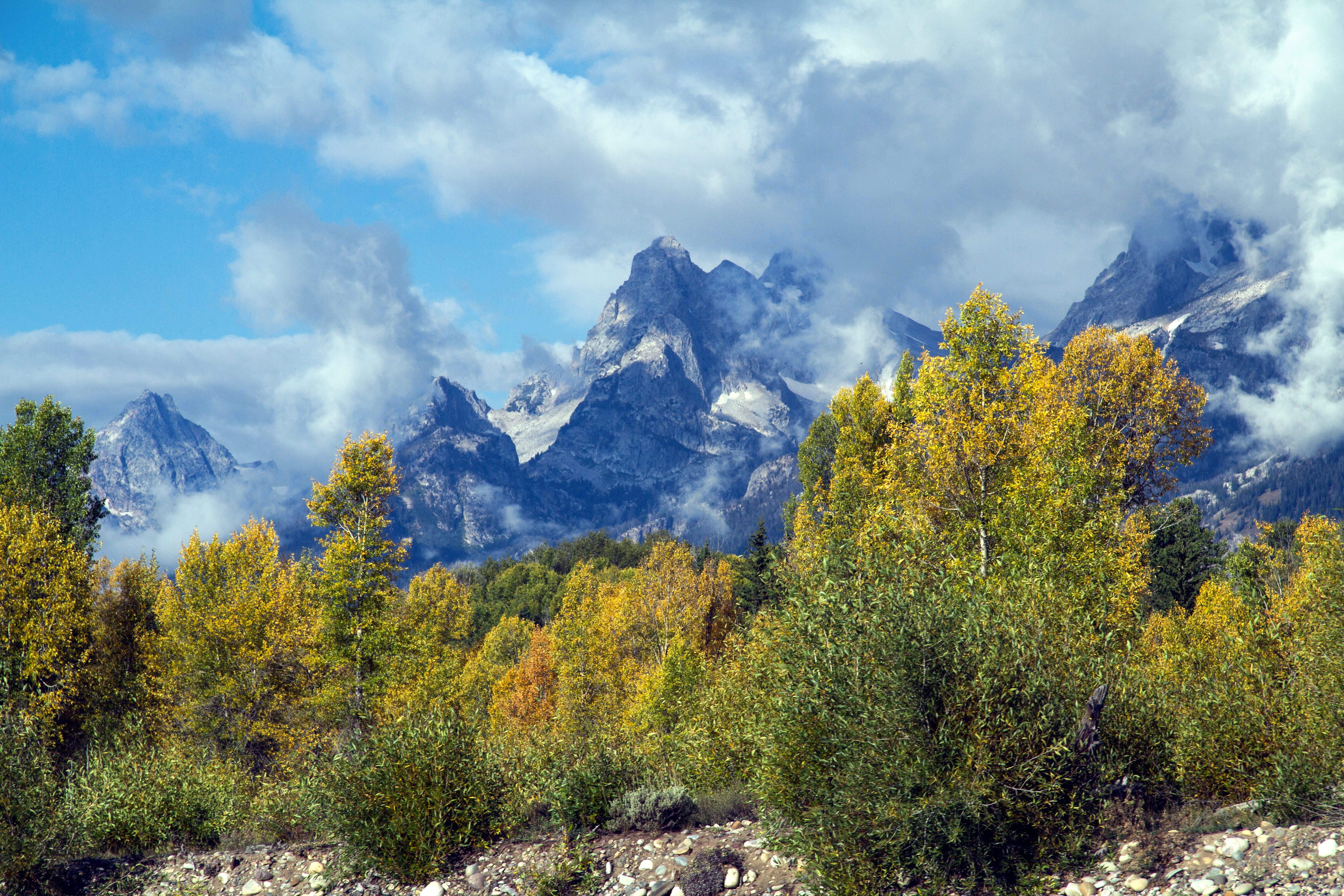 no people, plant, outdoors, mountain peak, forest, pine tree, Wyoming, landscape, tranquil scene, beauty in nature, tranquility, tree, mountains, change, HD Wallpaper