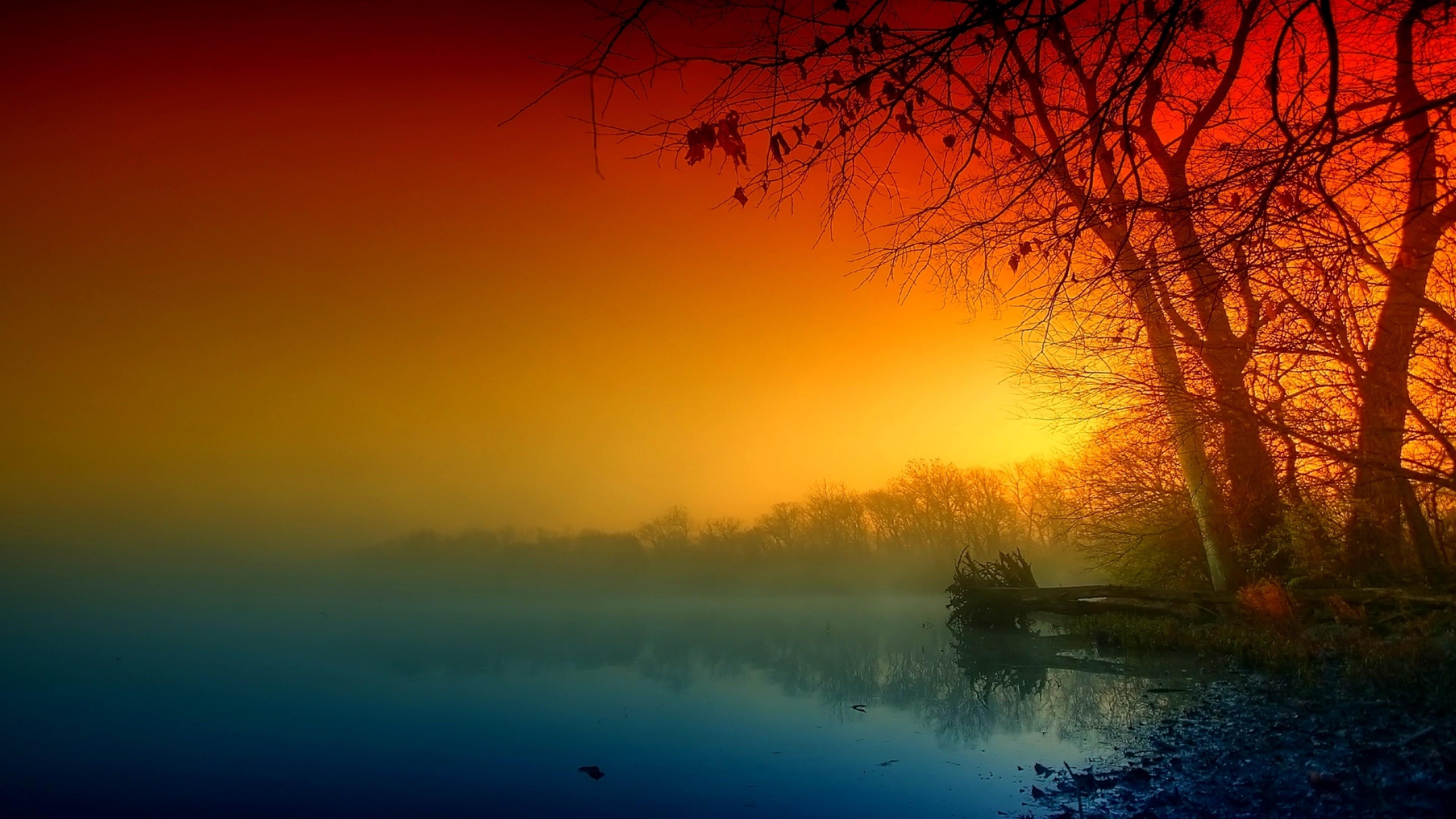 tree, darkness, misty, landscape, amazing, scenery, 4K, lake, twilight, HD Wallpaper