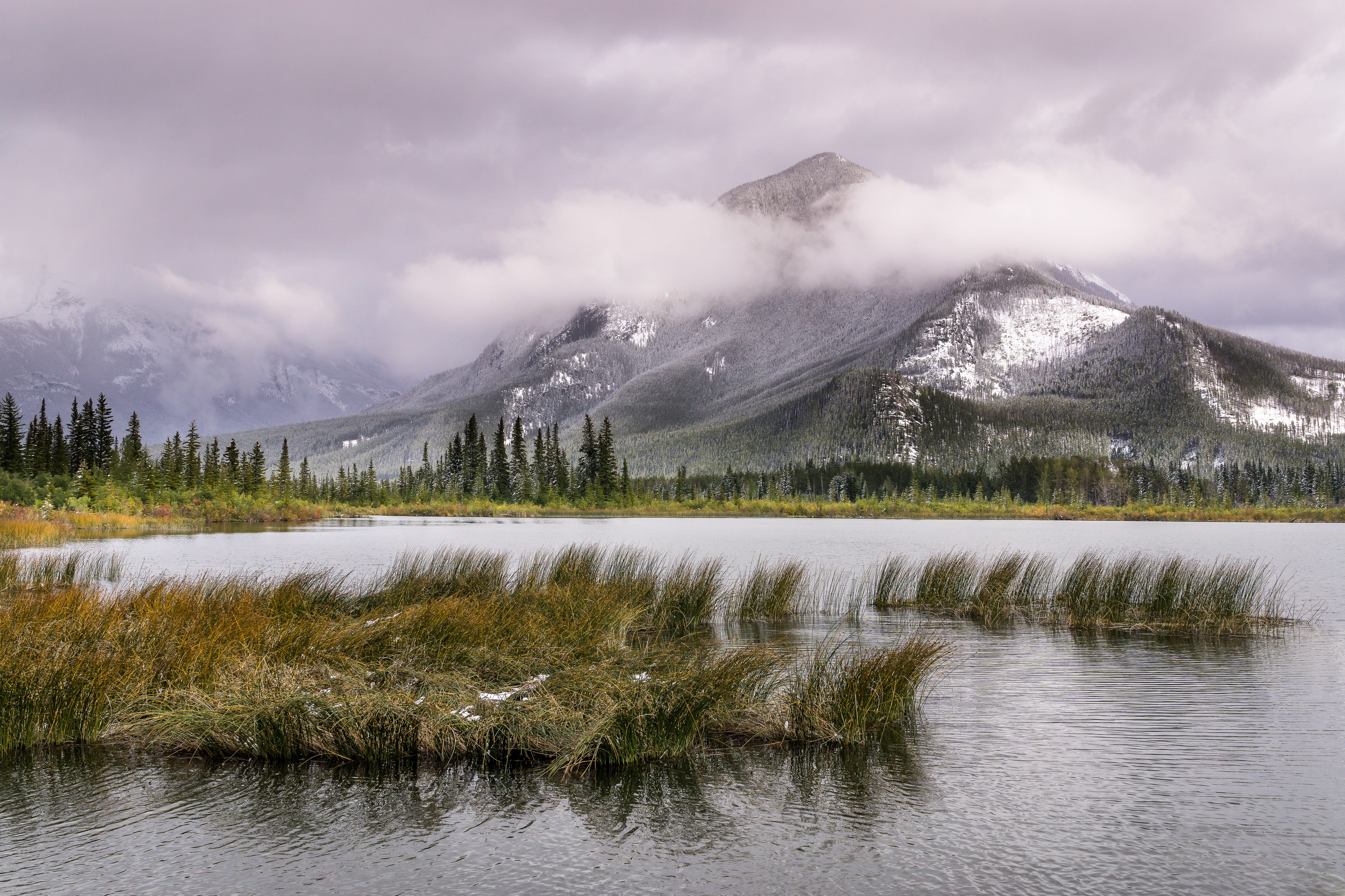 mountain, photography, landscape, clouds, water, nature, body, body of water, gray, vermillion, Mt. Rundle, forest, 5K, photo, creative  commons, canada, HD Wallpaper
