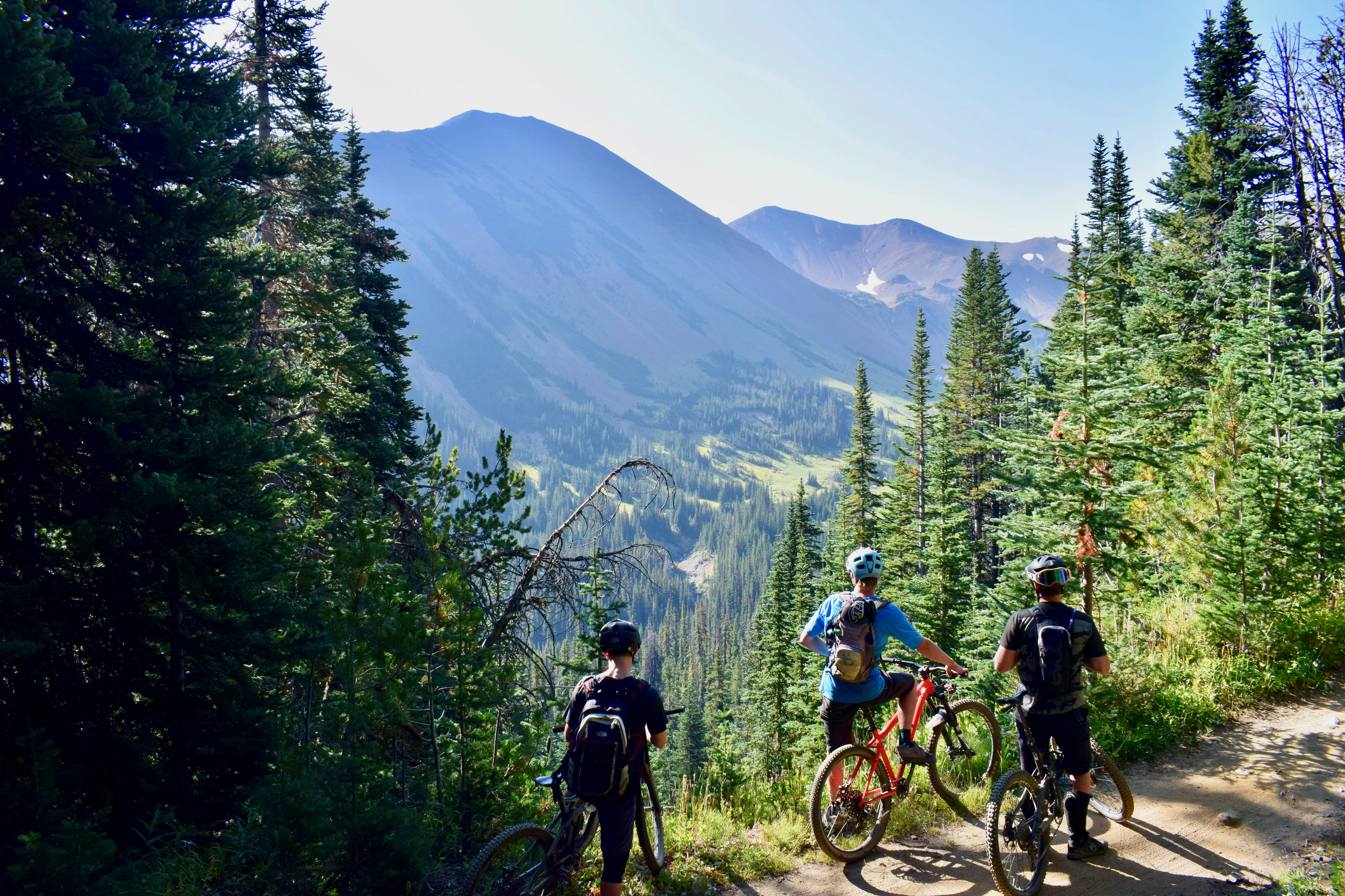 nature, scenic, plant, forest, landscape, cycling, valley, mountain range, lifestyles, 5K, daytime, helmet, trees, bicycles, scenery, men, transportation, HD Wallpaper