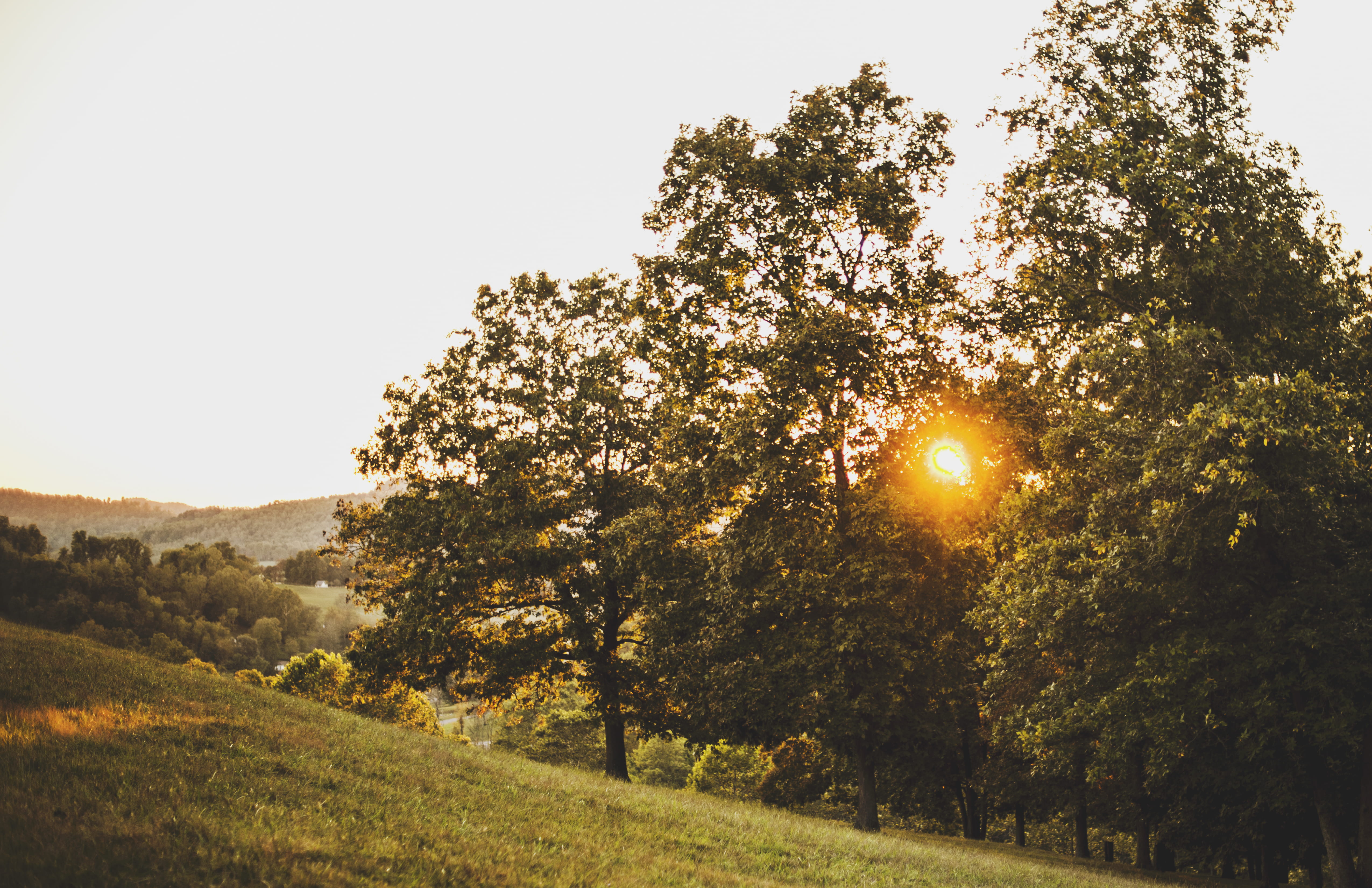 4K, land, scenics - nature, lens flare, brightly lit, fall, idyllic, plant, tranquility, clear sky, hillside, bright, nature, outdoors, autumn, sun, field, HD Wallpaper