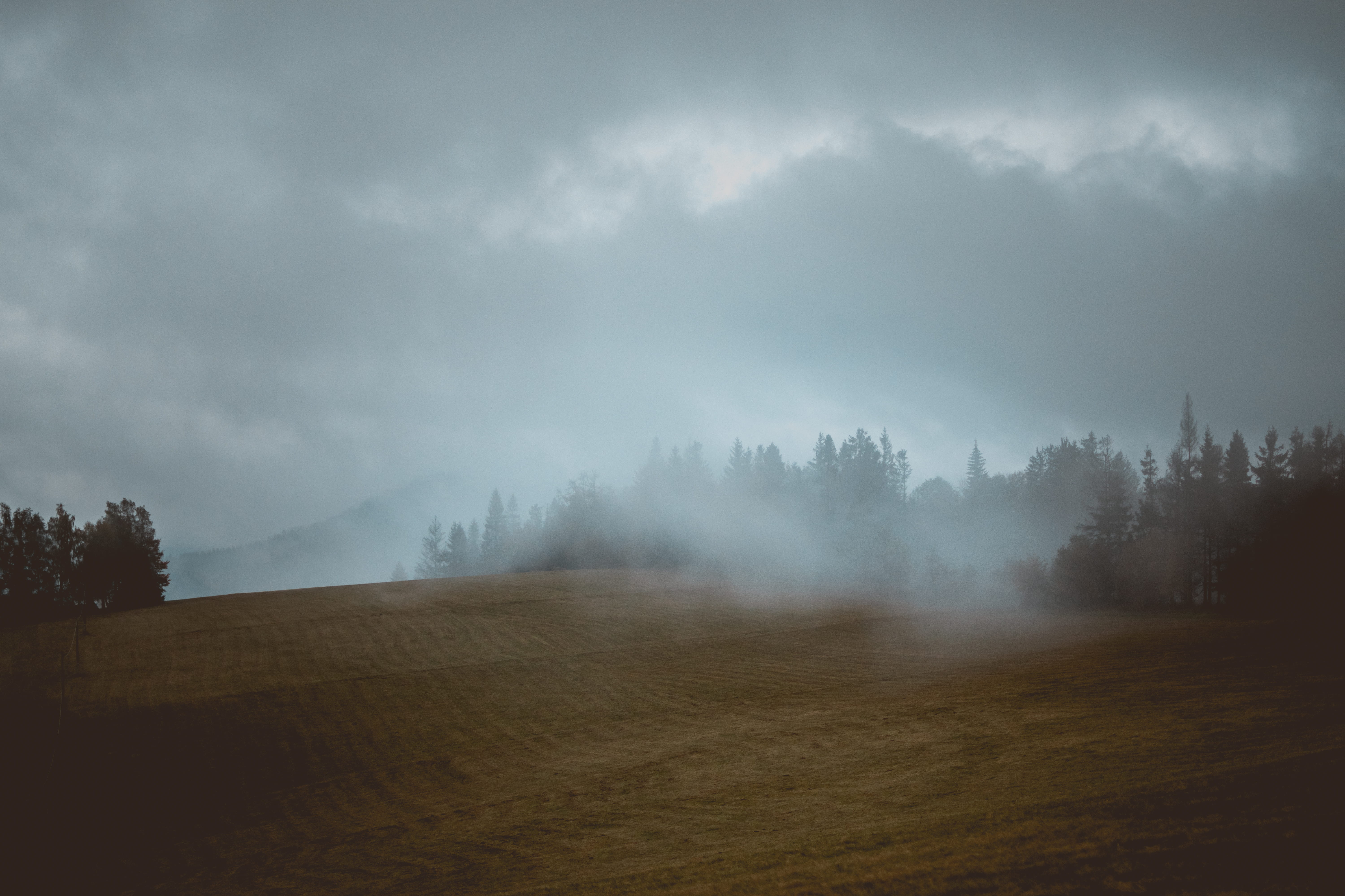 landscape, day, hillside, photography, dark, tree, cloud - sky, hill, forest, cloud, tranquility, 5K, land, non-urban scene, mountain, fog, beauty in nature, HD Wallpaper