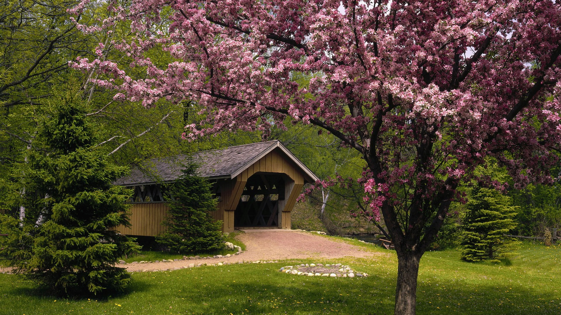 blossom, trees, bridge, garden, hd, nature, cherry, 1080P, HD Wallpaper