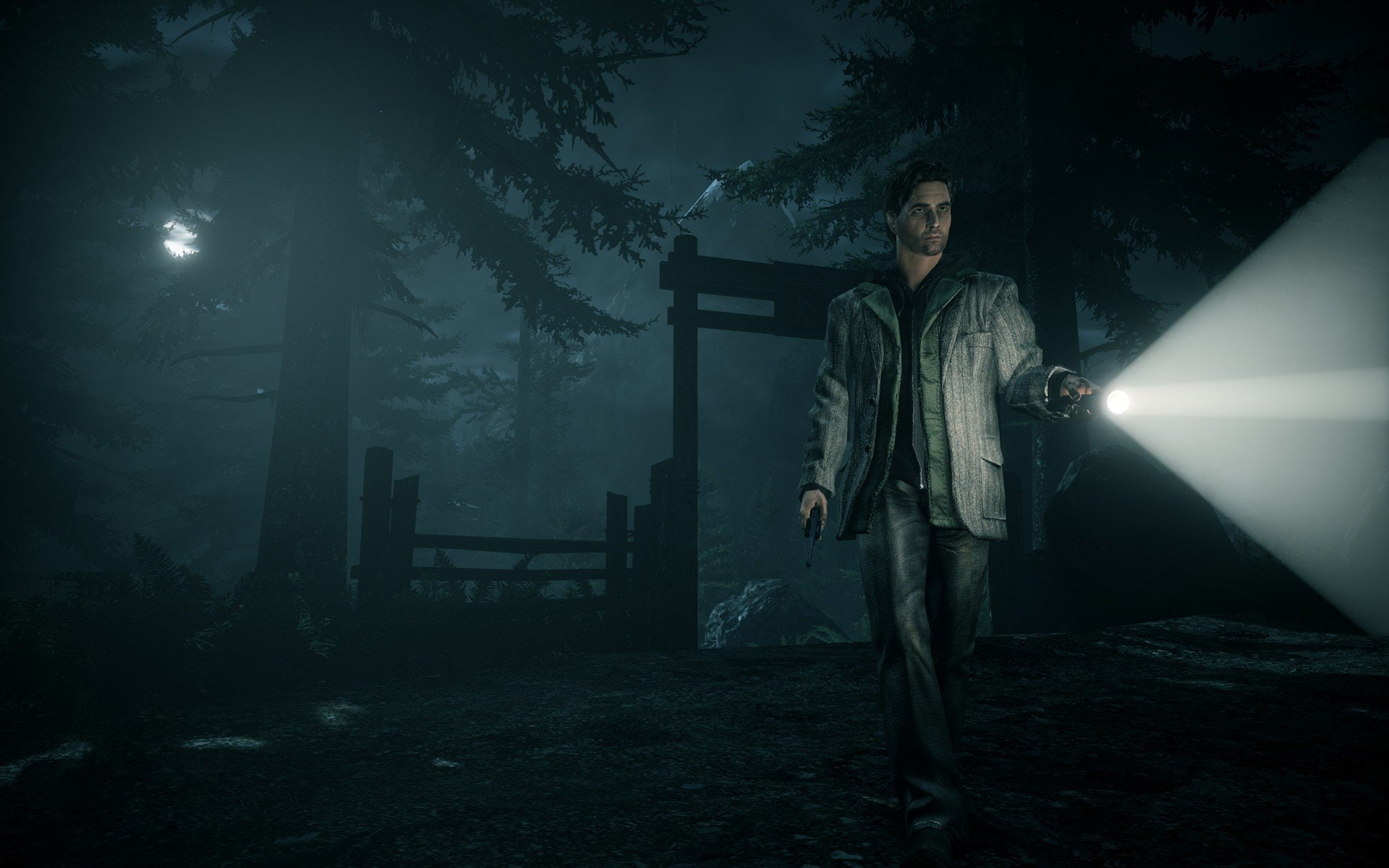 mountains, night, moon, men, games, fog, video, 1080P, forests, guns, alan, flashlights, weapons, wake, trees, HD Wallpaper