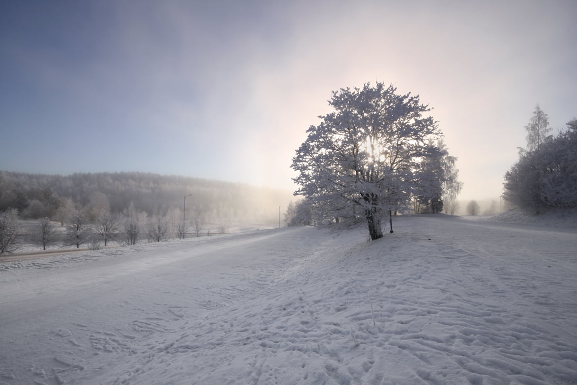 natural, digital, photography, Travel, non-Urban Scene, Finland, 480P, north, Winter, covered, pic, weather, ambience, 20mm, sunlight, lighting, scene, HD Wallpaper
