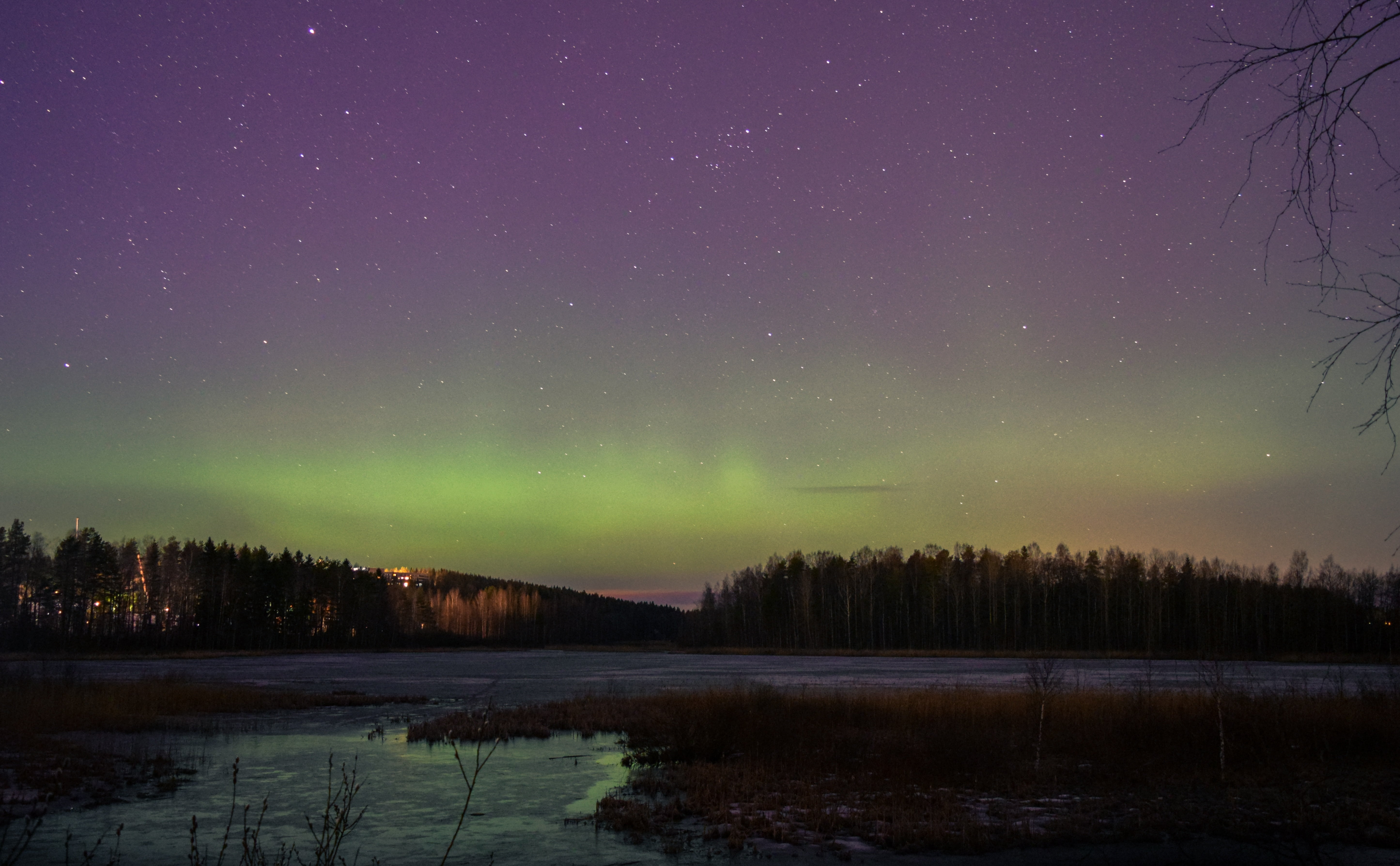 nature, space, water, purple, tree, outdoor, tranquility, plant, aurora, astronomy, star - space, green color, lake, illuminated, tranquil scene, finland, HD Wallpaper