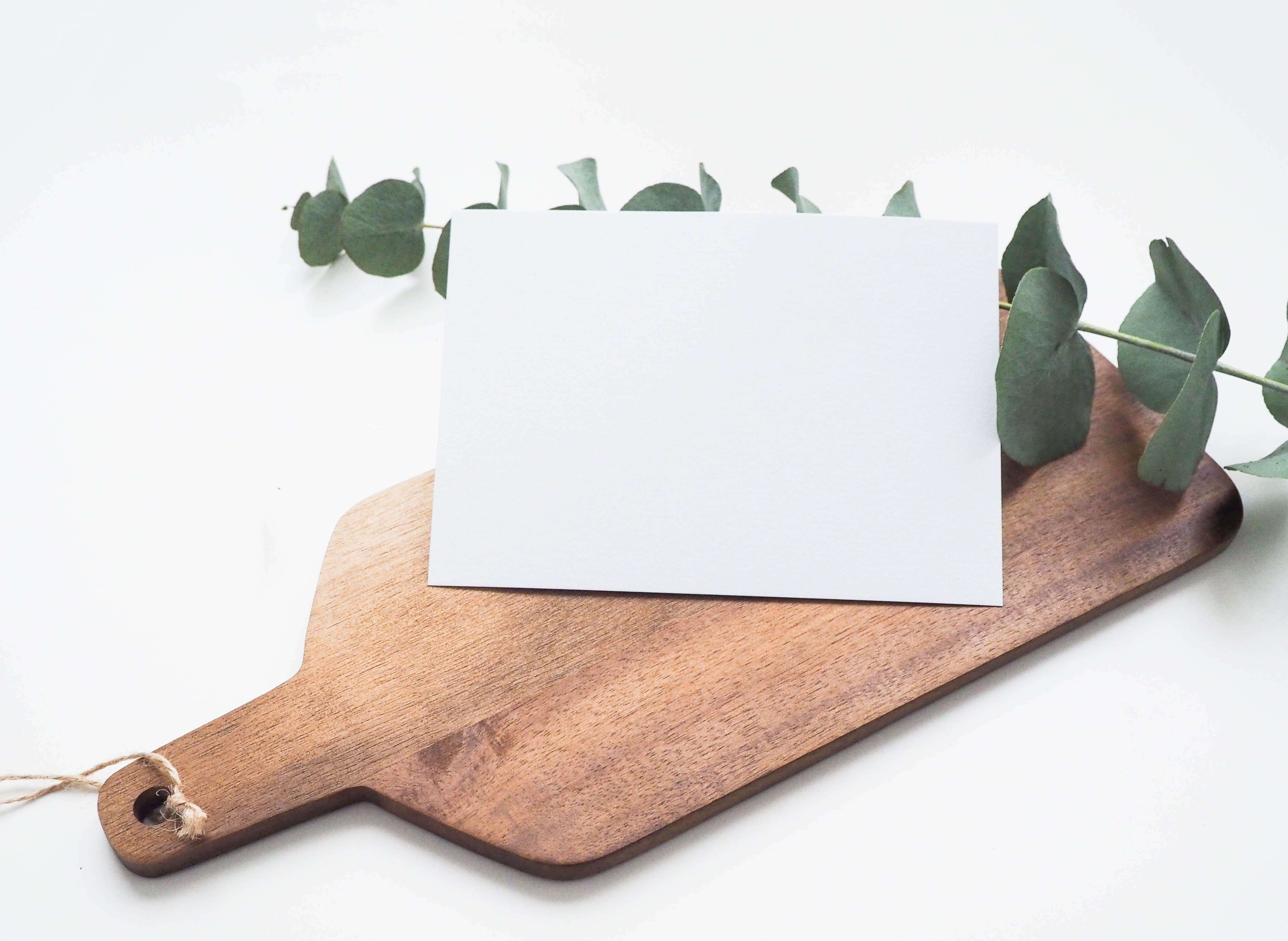 mockup, white background, branch, white color, no people, minimalism, stock photography, cutting, creativity, nature, brown, studio shot, wood, airy, danish, HD Wallpaper