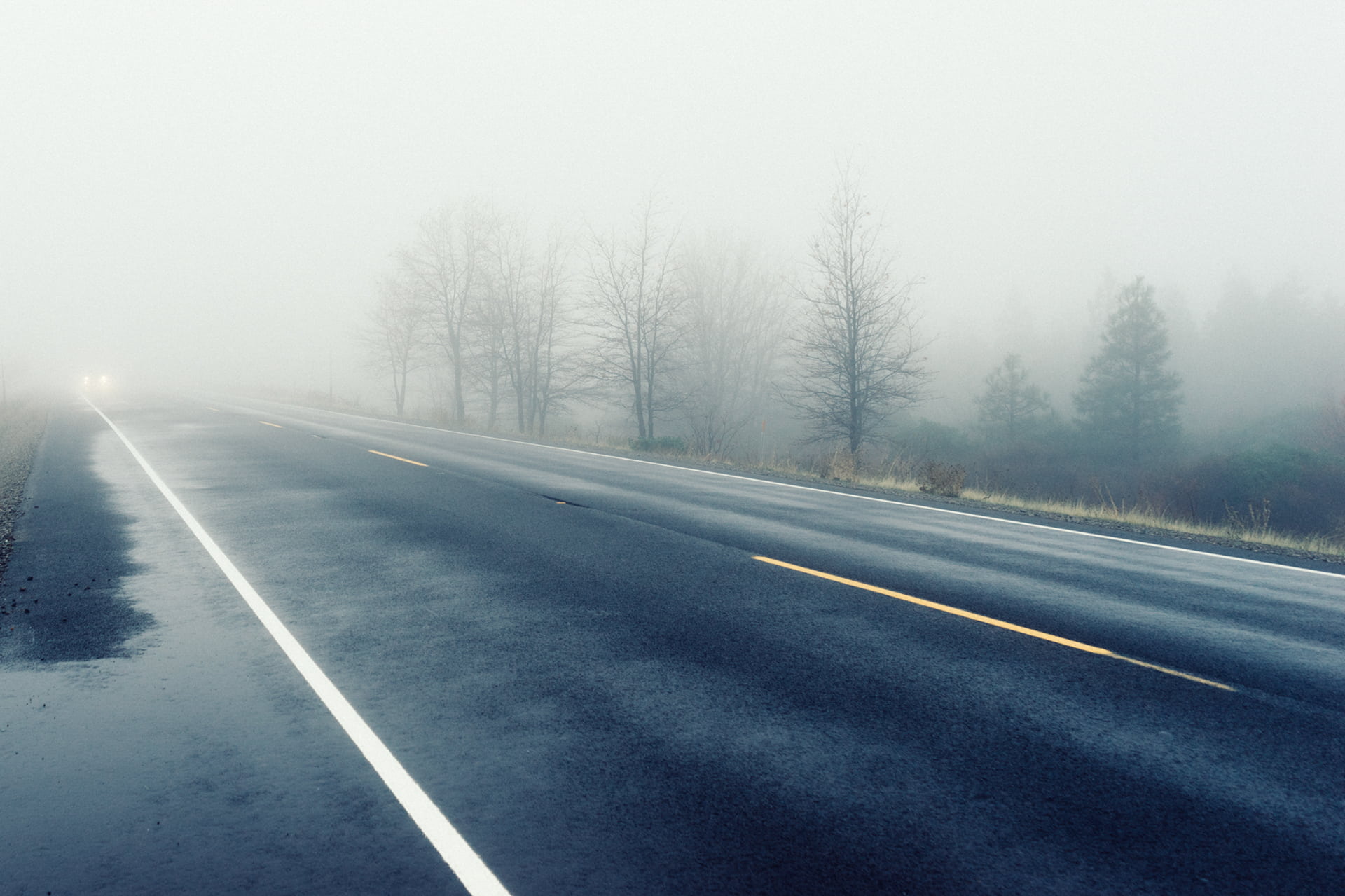 slippery, nature, sign, symbol, the way forward, sky, no people, country, travel, direction, marking, transportation, winter, visibility, tree, foggy, 1080P, HD Wallpaper