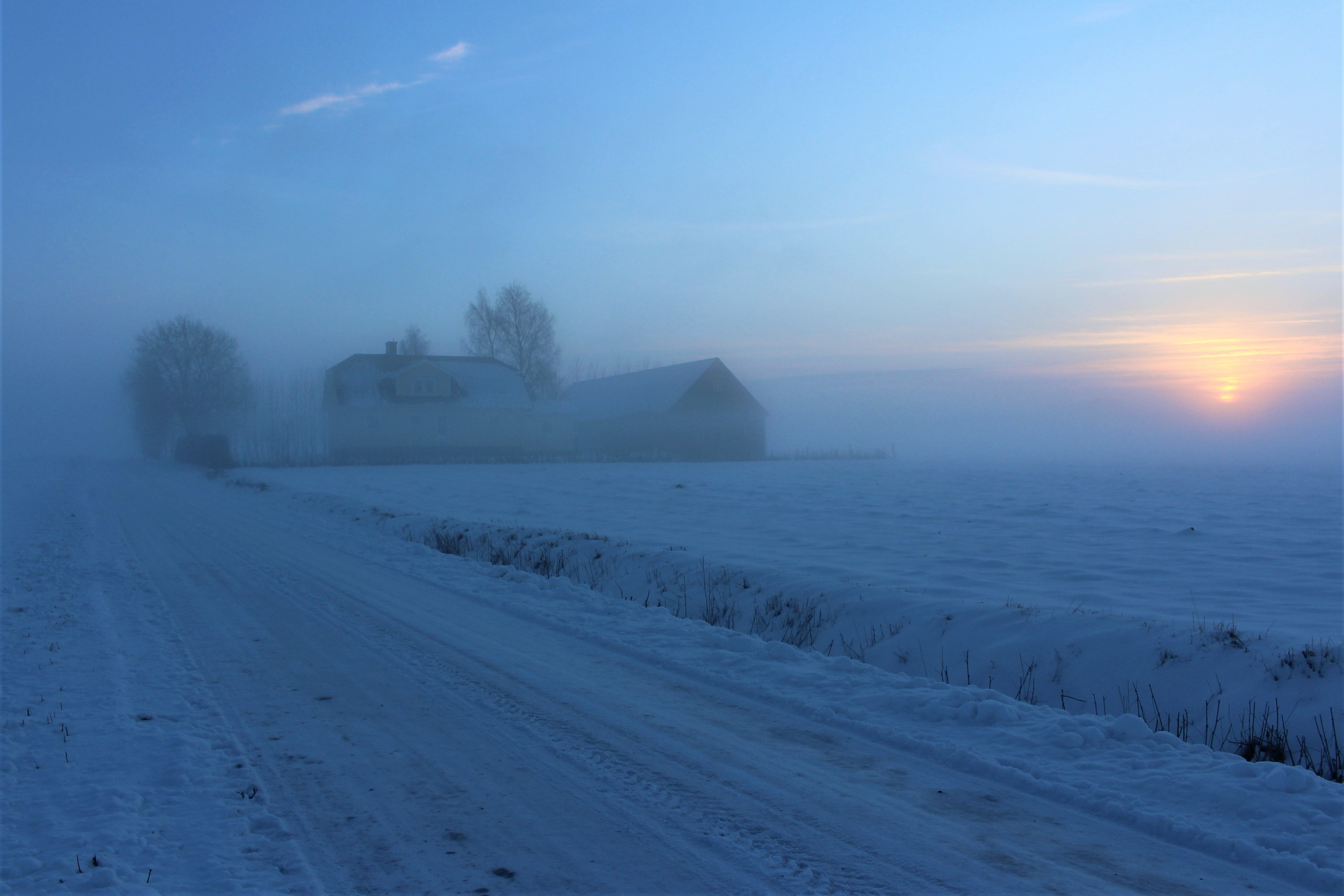 road, countryside, mist, icy, sun, landscapes, tree, winter, chilly, horizon, solitary, farmhouse, unclear, beautifully, frost, tranquil scene, covering, HD Wallpaper