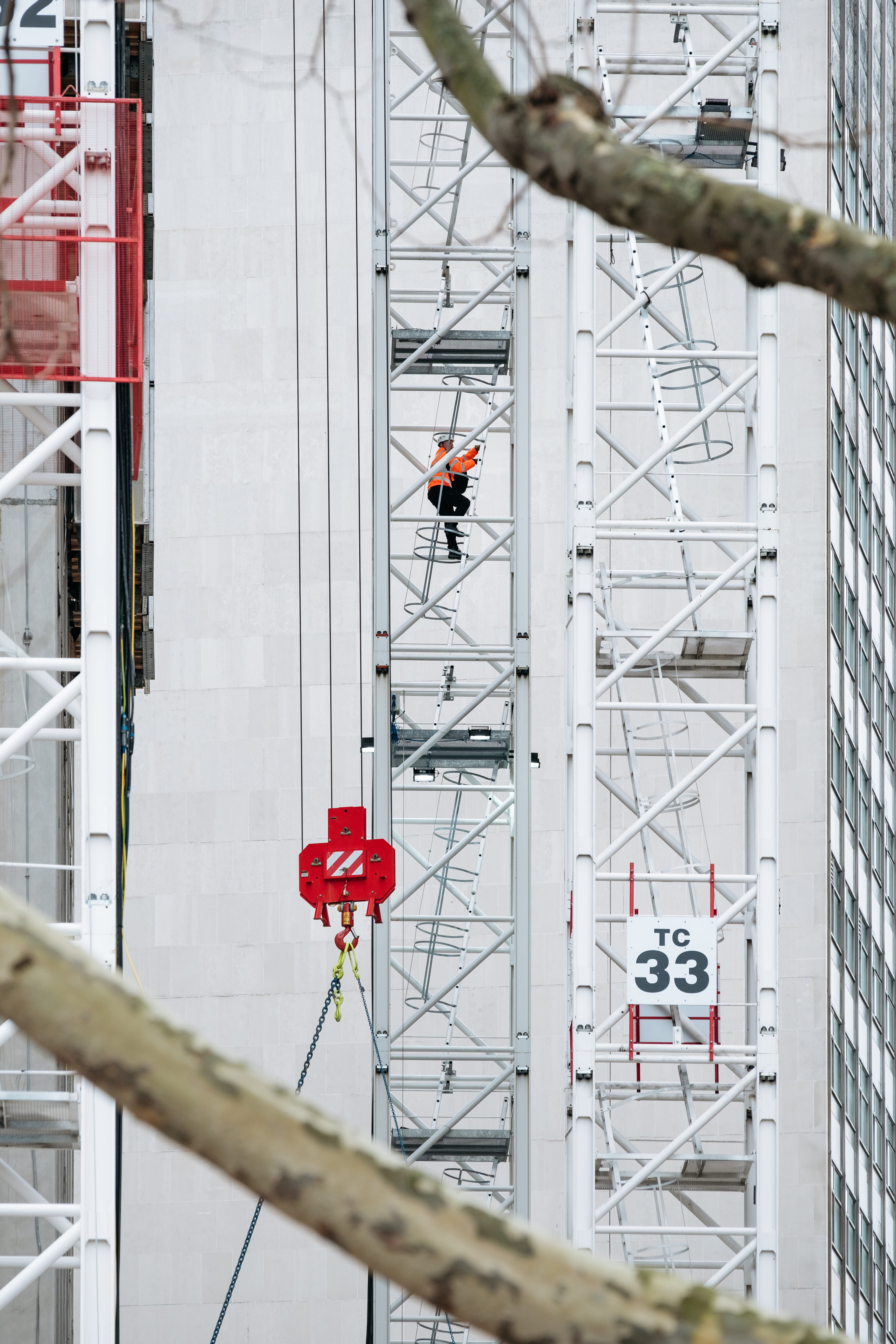 tree branch, people, ladder, orange jacket, metal, men, development, wearing, outdoors, person, scaffold, real people, up, man, construction site, orange, Phone HD Wallpaper