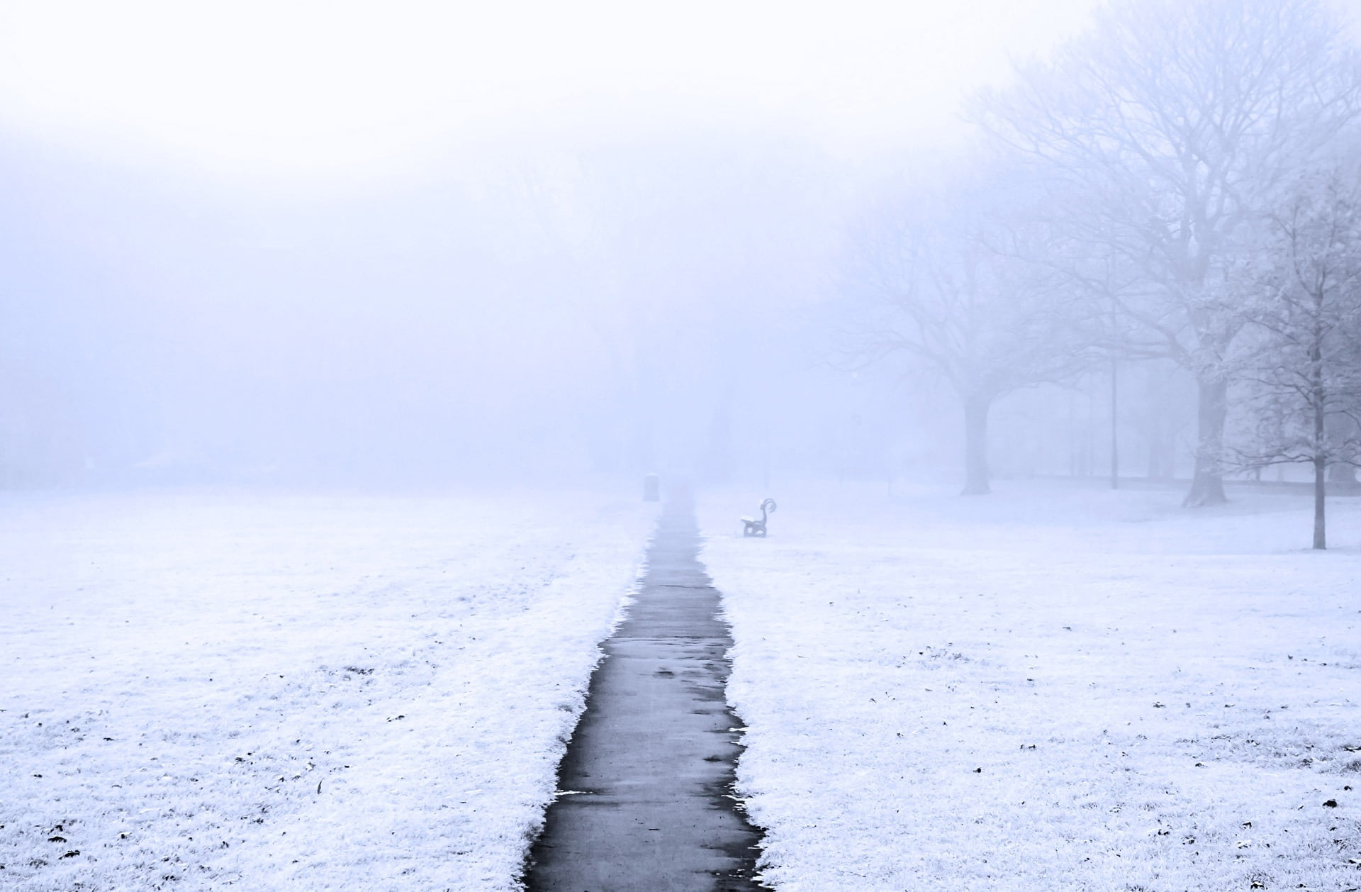 ground, tranquil scene, street, outdoors, snowing, pathway, no people, cold temperature, plant, the way forward, white, season, nature, frozen, gray, weather, HD Wallpaper
