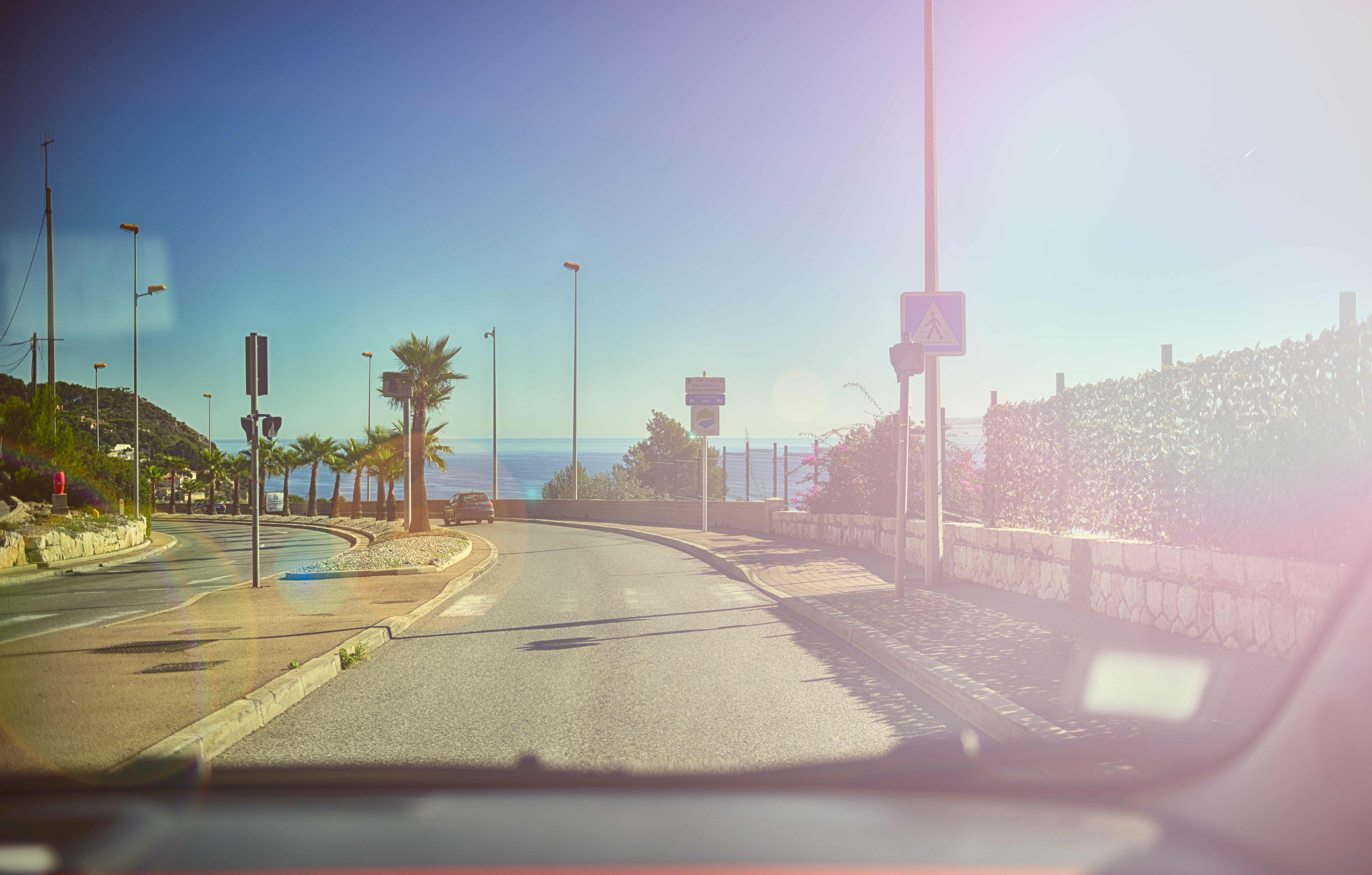 building exterior, transportation, windshield, office building exterior, palm, dashboard, mode of transportation, taken, architecture, 5K, outdoors, day, HD Wallpaper
