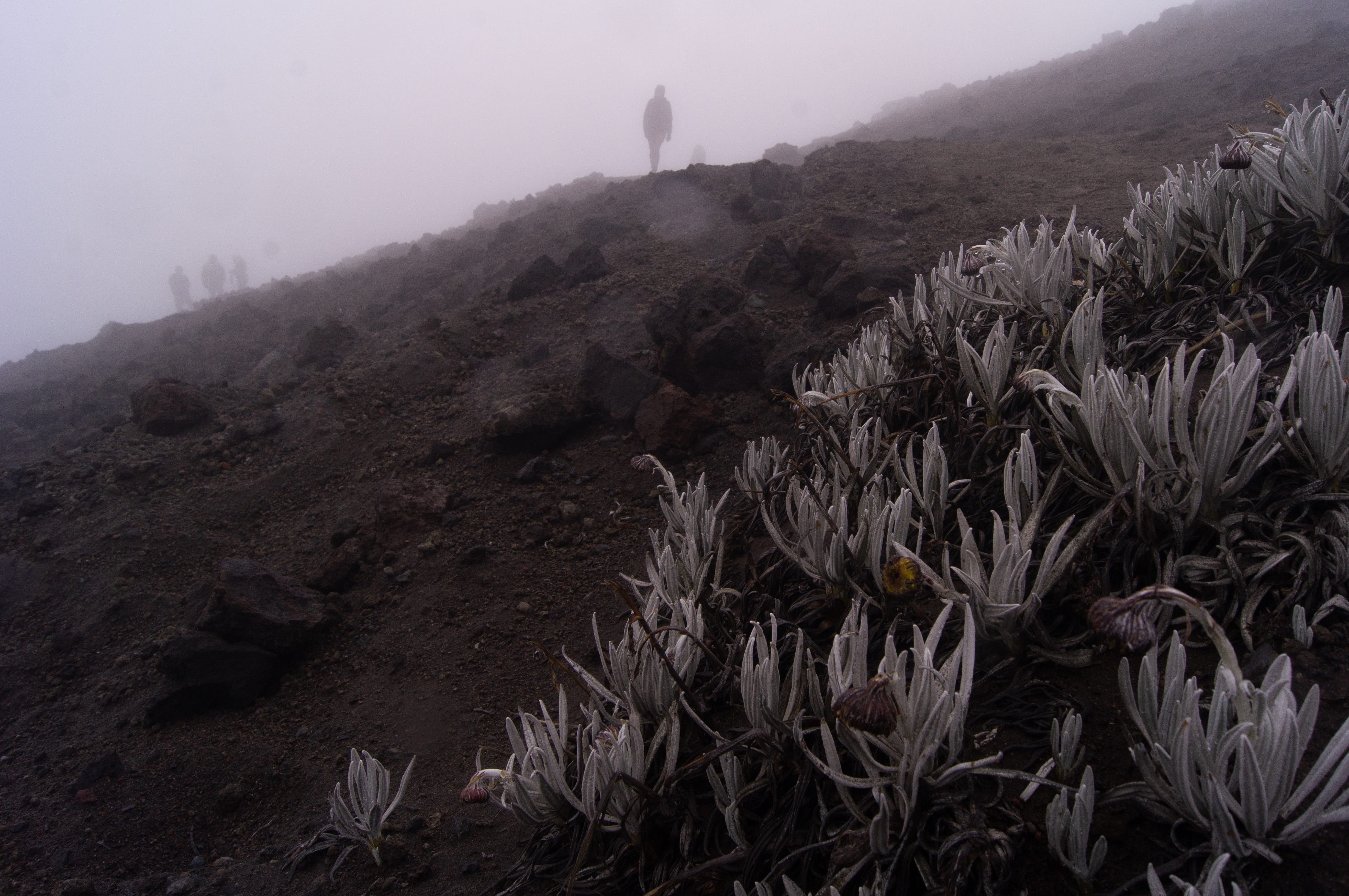 hiking, tranquility, scenics - nature, climate, formation, beauty in nature, 4K, adventure, fog, landscape, sony a55, ambient, arid climate, sky, nature, HD Wallpaper