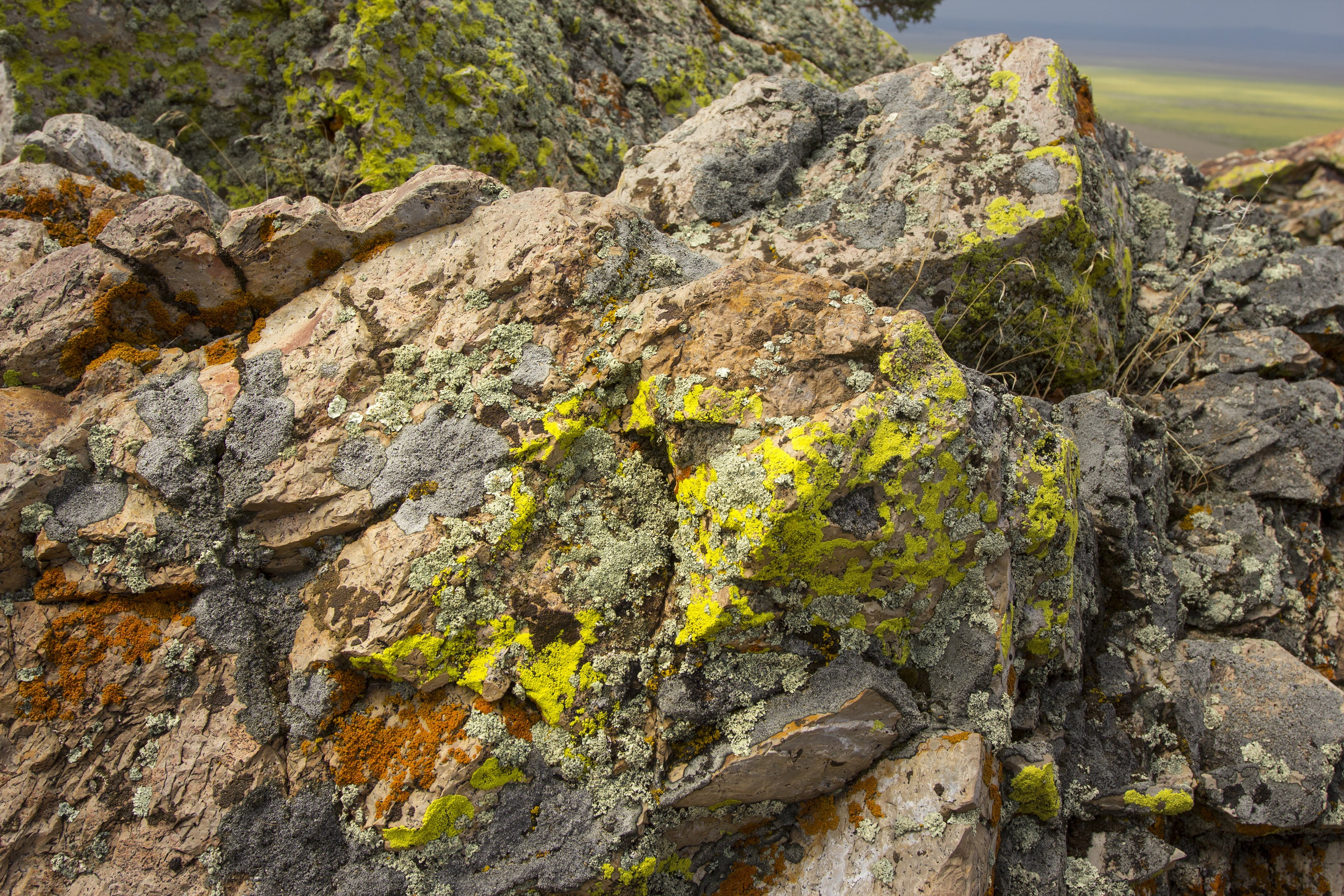2K, rocks, visible, rock - object, day, textured, no people, rock, beauty in nature, tree, stones, formation, outdoors, eroded, mountain, plant, rock formation, HD Wallpaper