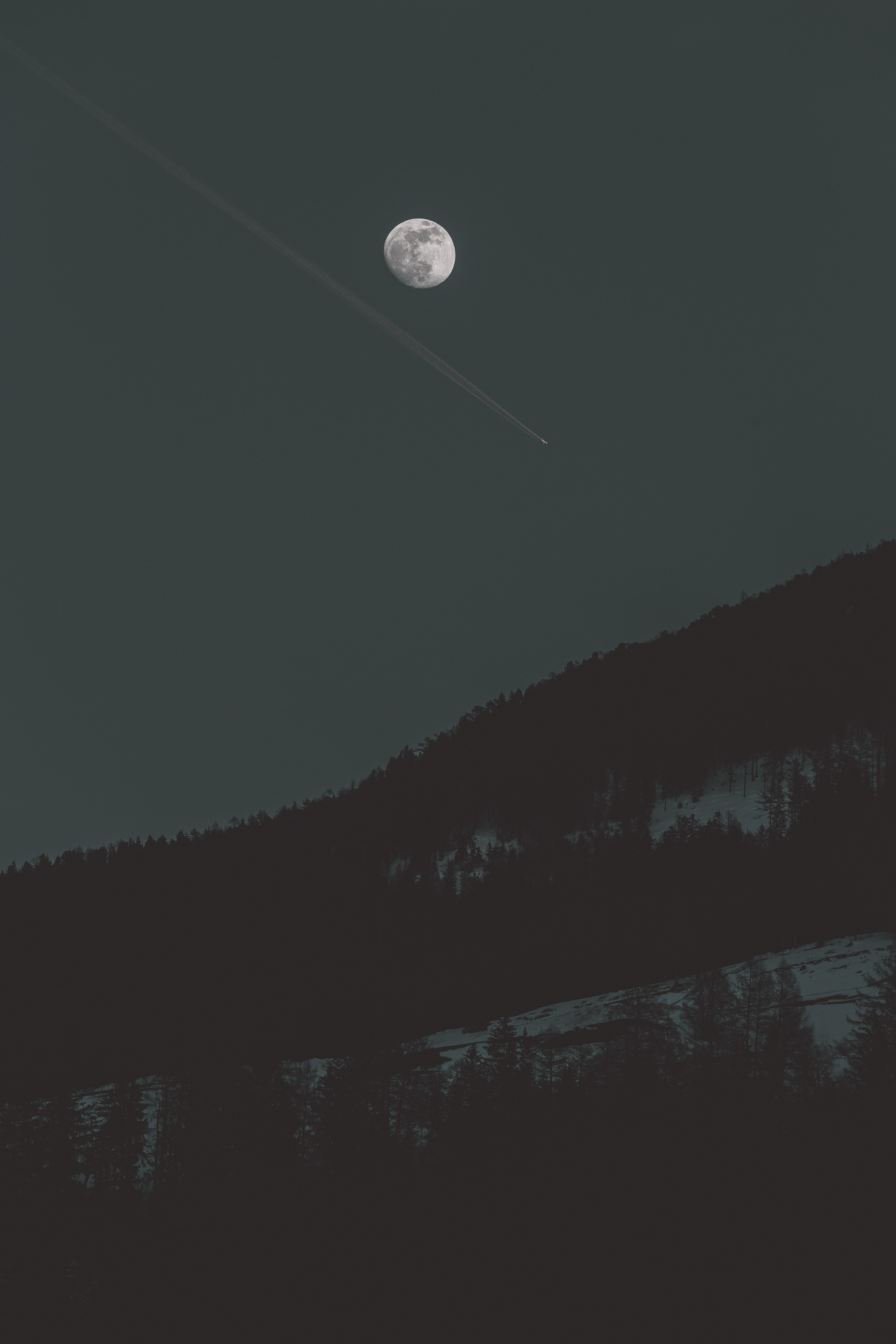 mountain range, night, silhouette, 5K, non-urban scene, tree, plateau, tranquil scene, fir, scenics - nature, lunar eclipse, full moon, sky, plant, full, Phone HD Wallpaper