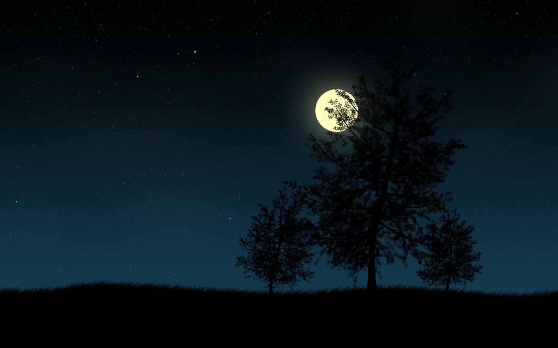 full, trees, tranquility, star - space, silhouette, low angle view, outdoors, full moon, 1080P, astronomy, tree, land, planetary moon, tall, sky, moonlight, HD Wallpaper