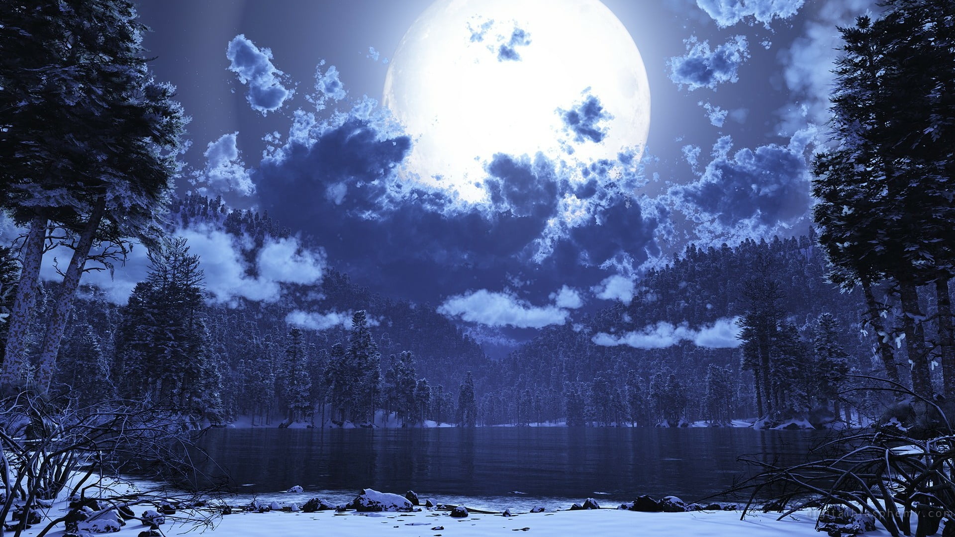 nature, tree, moon, 1080P, winter, snowing, land, night, scenics - nature, sky, moonlight, forest, tranquil scene, beauty in nature, no people, snow, tranquility, HD Wallpaper