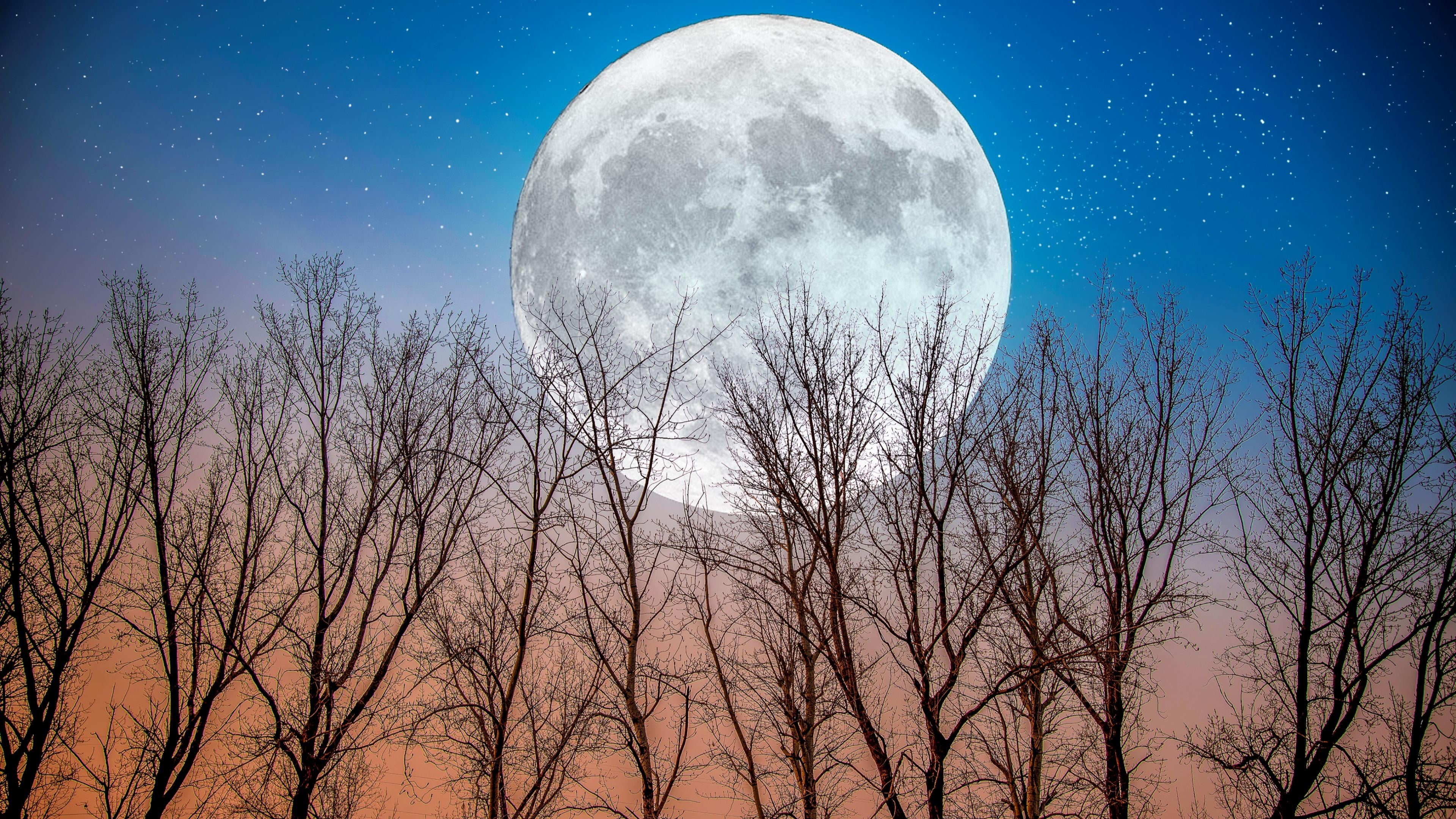 no people, astronomy, nature, planetary moon, dusk, starry sky, moonlight, silhouette, blue, sky, tranquility, supermoon, outdoors, low angle view, beauty in nature, HD Wallpaper