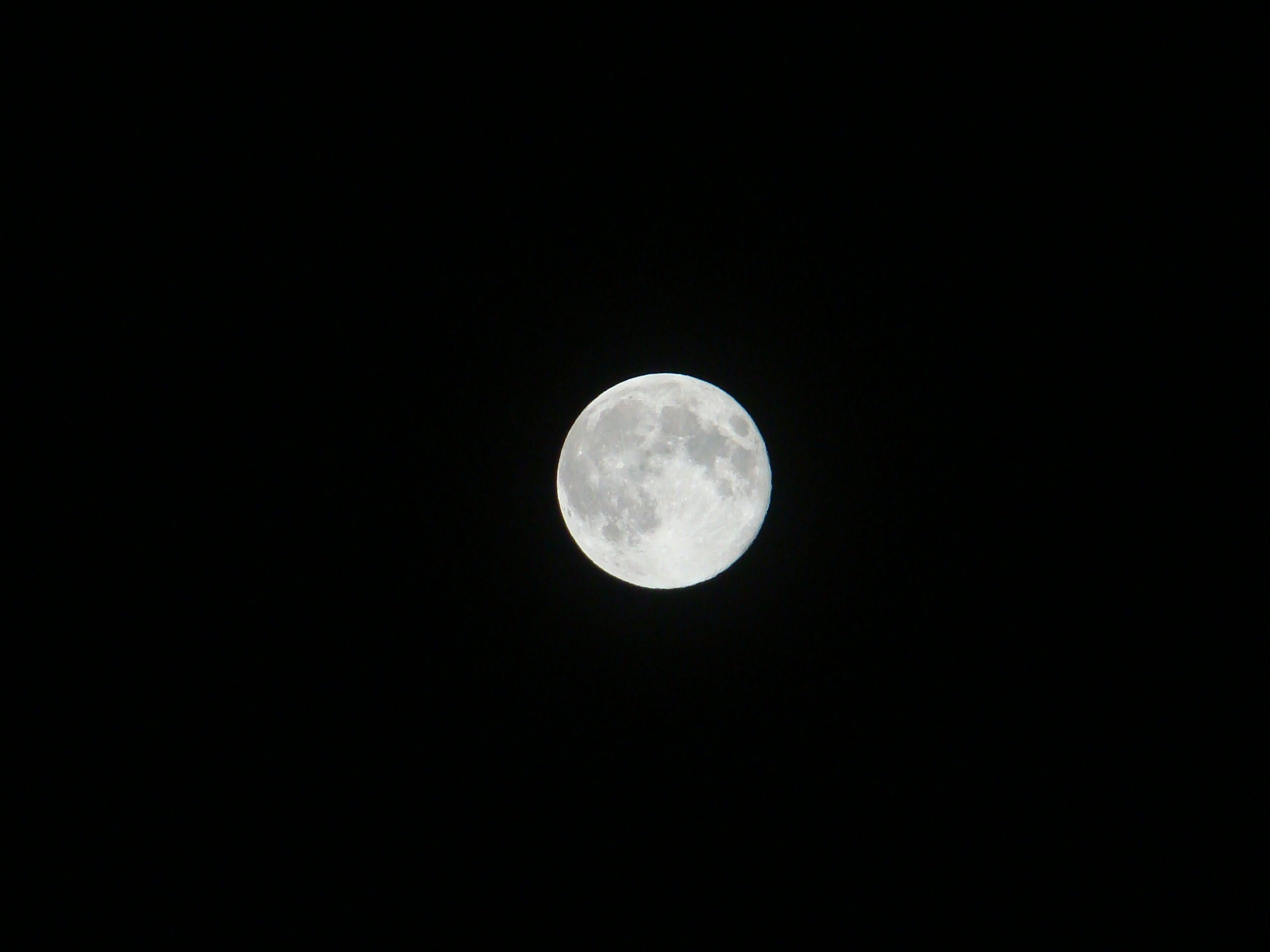 night, lunar, orbit, bright, dark, scenics, scenics - nature, gravity, Fullmoon, copy space, planetary moon, photo, full, tranquility, nature, Supermoon, HD Wallpaper