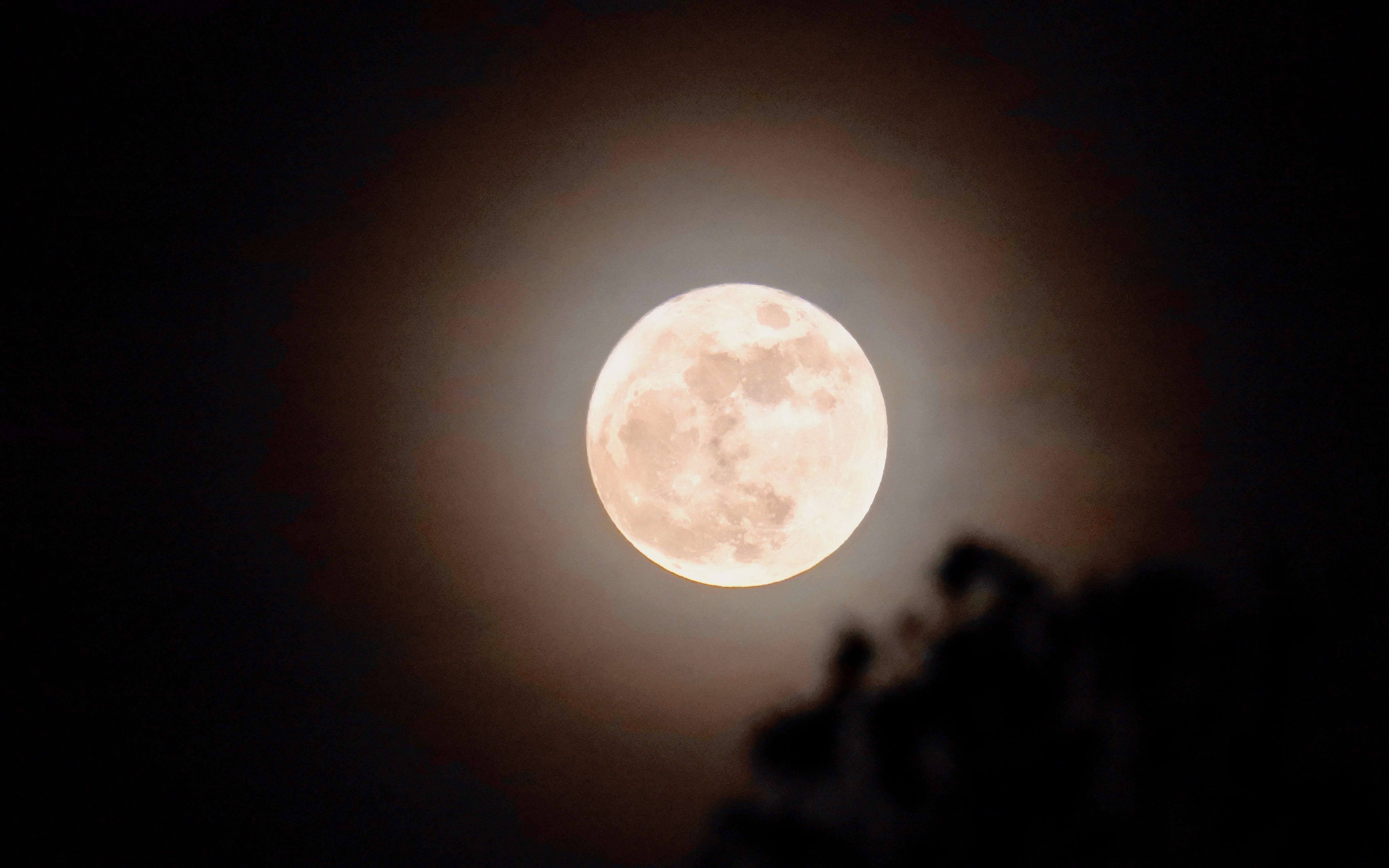 moonlight, tranquility, united states, outdoors, astrology, moon, tree, sky, no people, supermoon, irvine, shape, 5K, spooky, astronomy, full moon, scenics - nature, HD Wallpaper