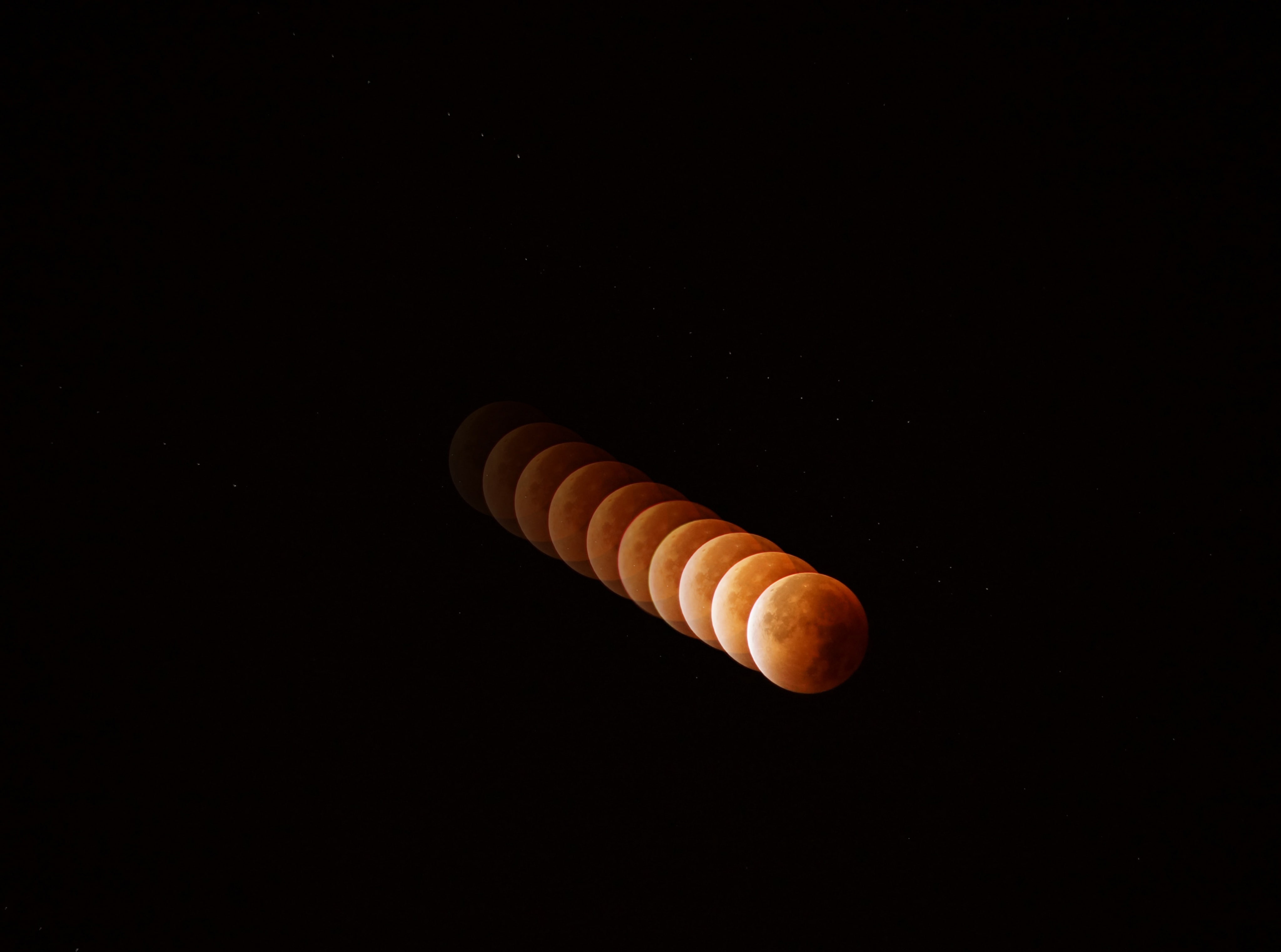 pattern, still life, snack, 4K, no people, Space, indoors, Eclipse, animal, Dark, spiral, supermoon, animal wildlife, single object, cut out, nature, close-up, HD Wallpaper