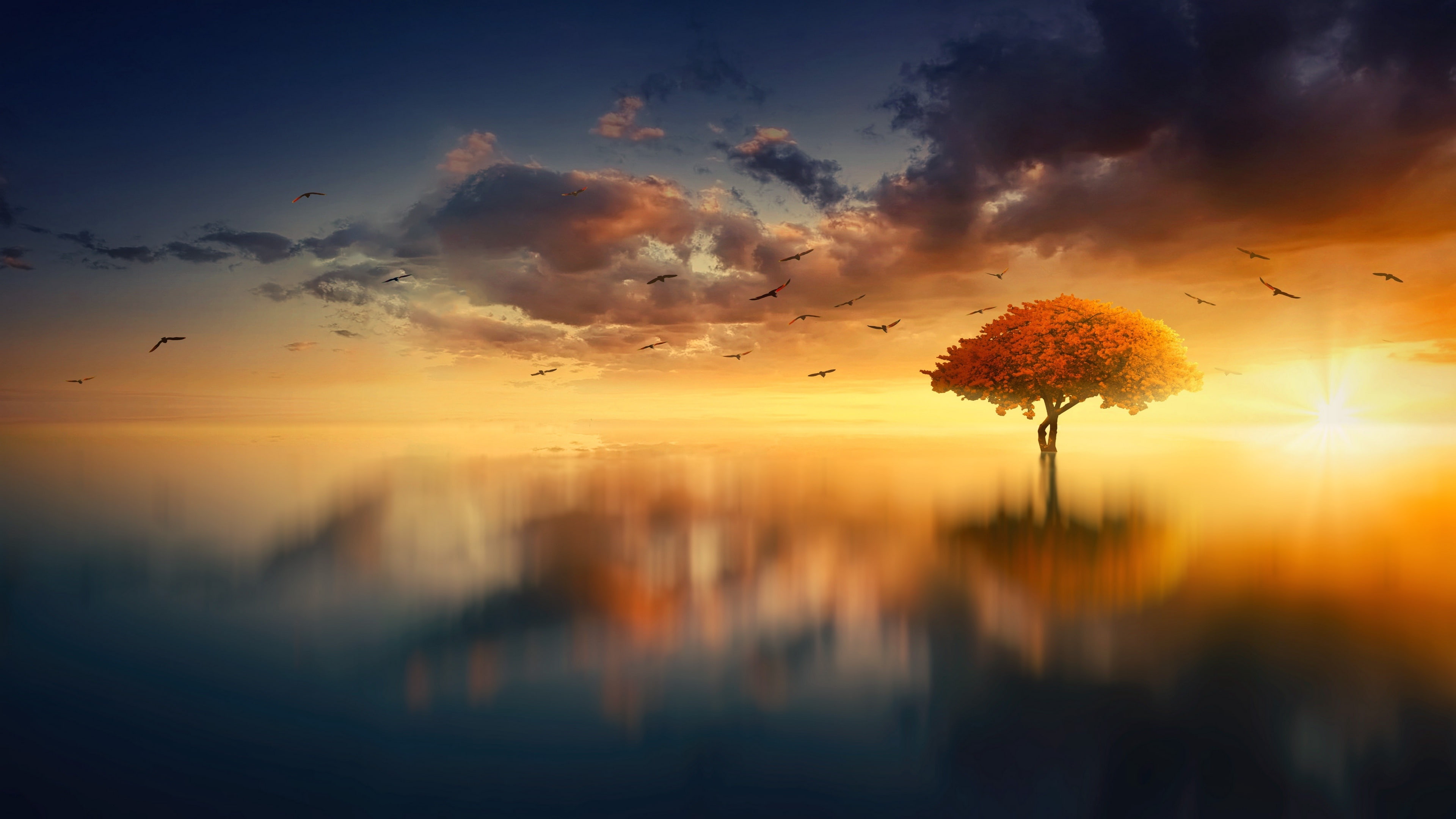 4K, birds, reflection, lake, sunset, tree, fantasy landscape, lone tree, HD Wallpaper