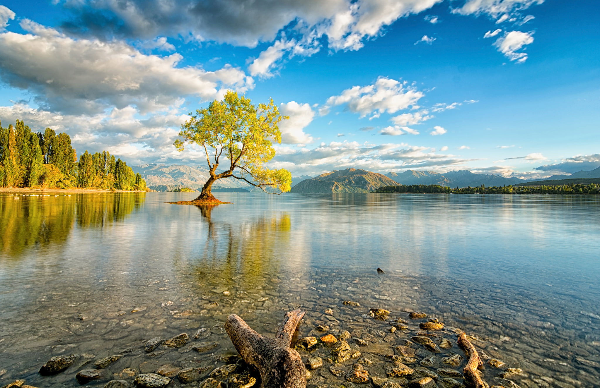 1080P, europe, mountain, non-Urban Scene, land, travel, idyllic, green Color, plant, tranquility, mountain Range, day, change, travel destinations, wanaka, HD Wallpaper