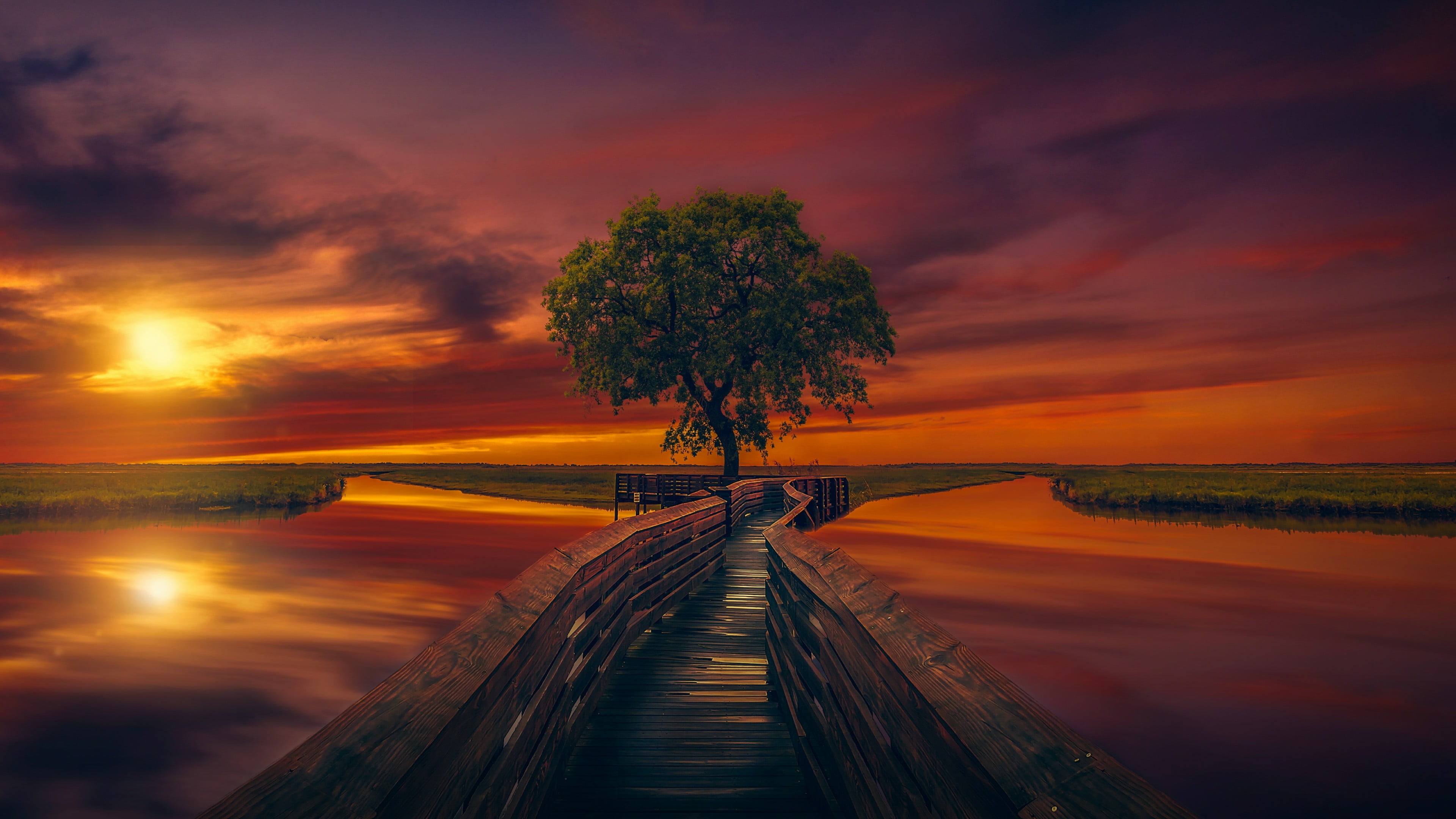 afterglow, tree, cloud, scenics - nature, cloudy, pathway, water, tranquil scene, sunset, orange sky, lonely tree, waterway, nature, sky, cloud - sky, horizon, HD Wallpaper